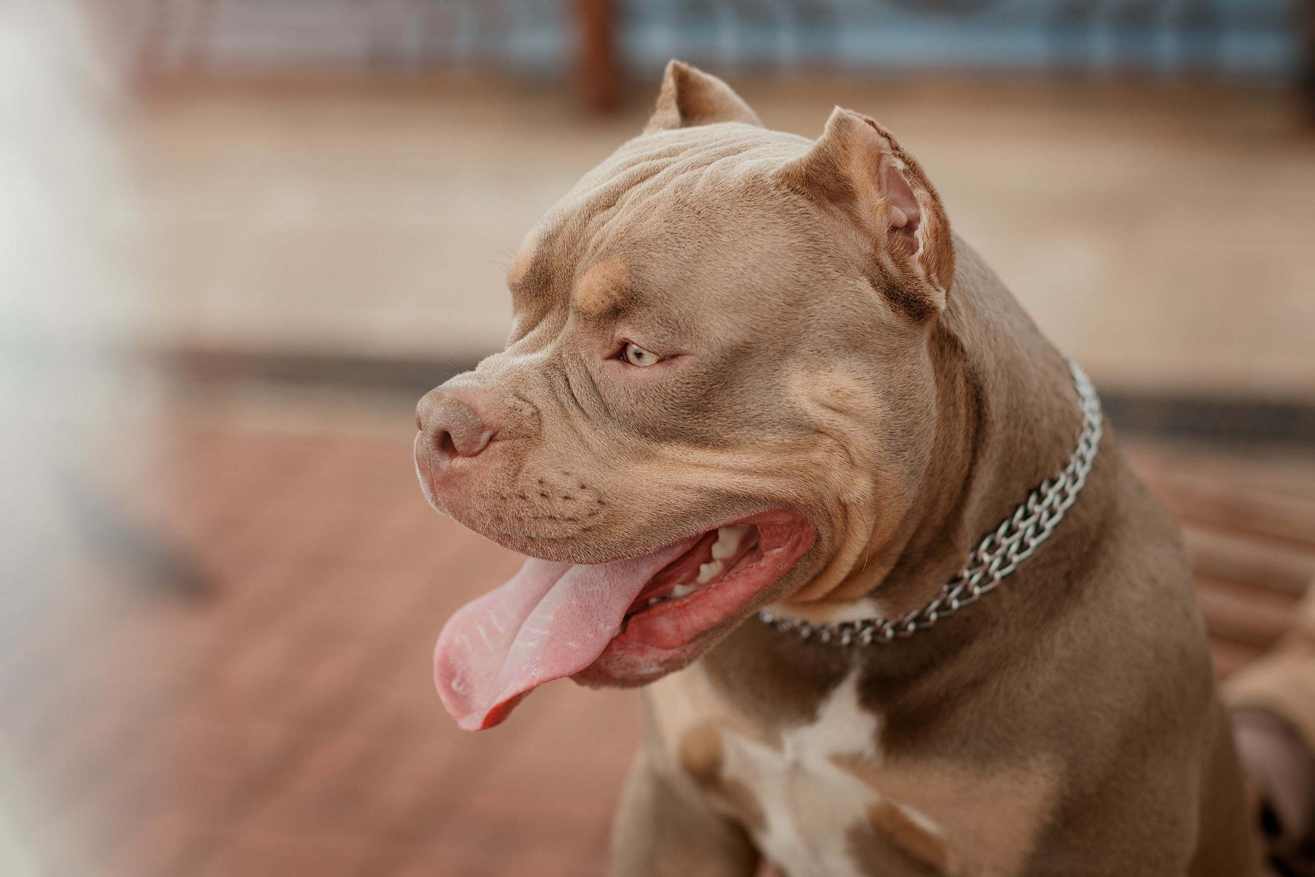 Ксения, Айк и Теона. Фотограф в Архангельске Артемьева Катерина