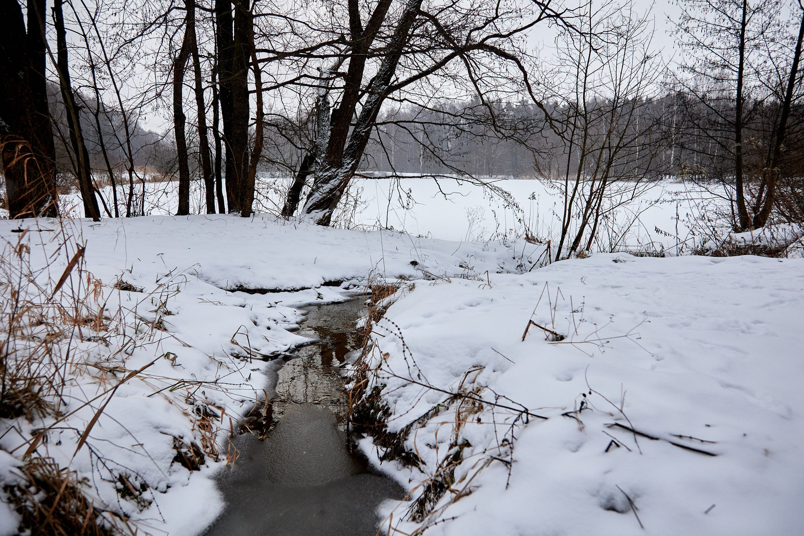 Близко Зима. Спортивный и репортажный фотограф Андрей Баскаков