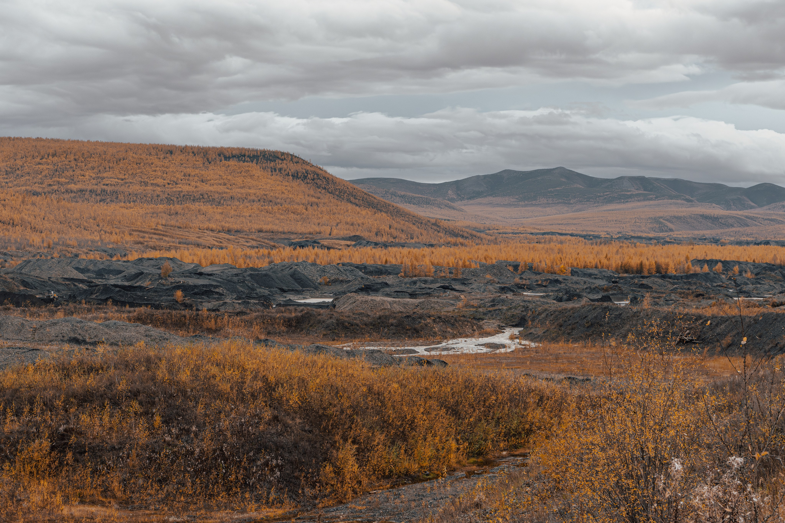 Планета Колыма. Элина Гусарова