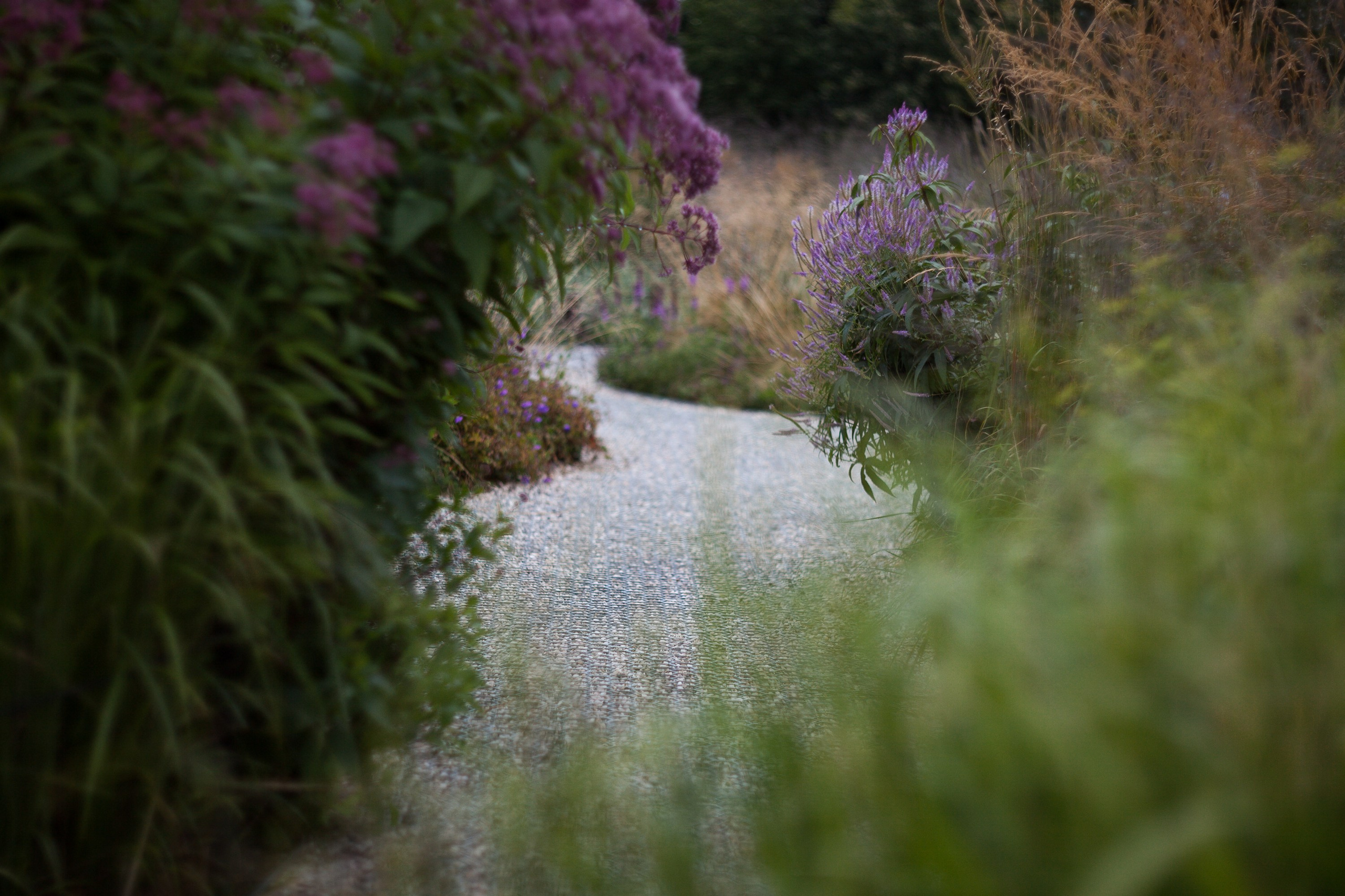 Новая Голландия — объект культурного наследия народов РФ федерального значения. Туманов Виталий — фотограф Москва