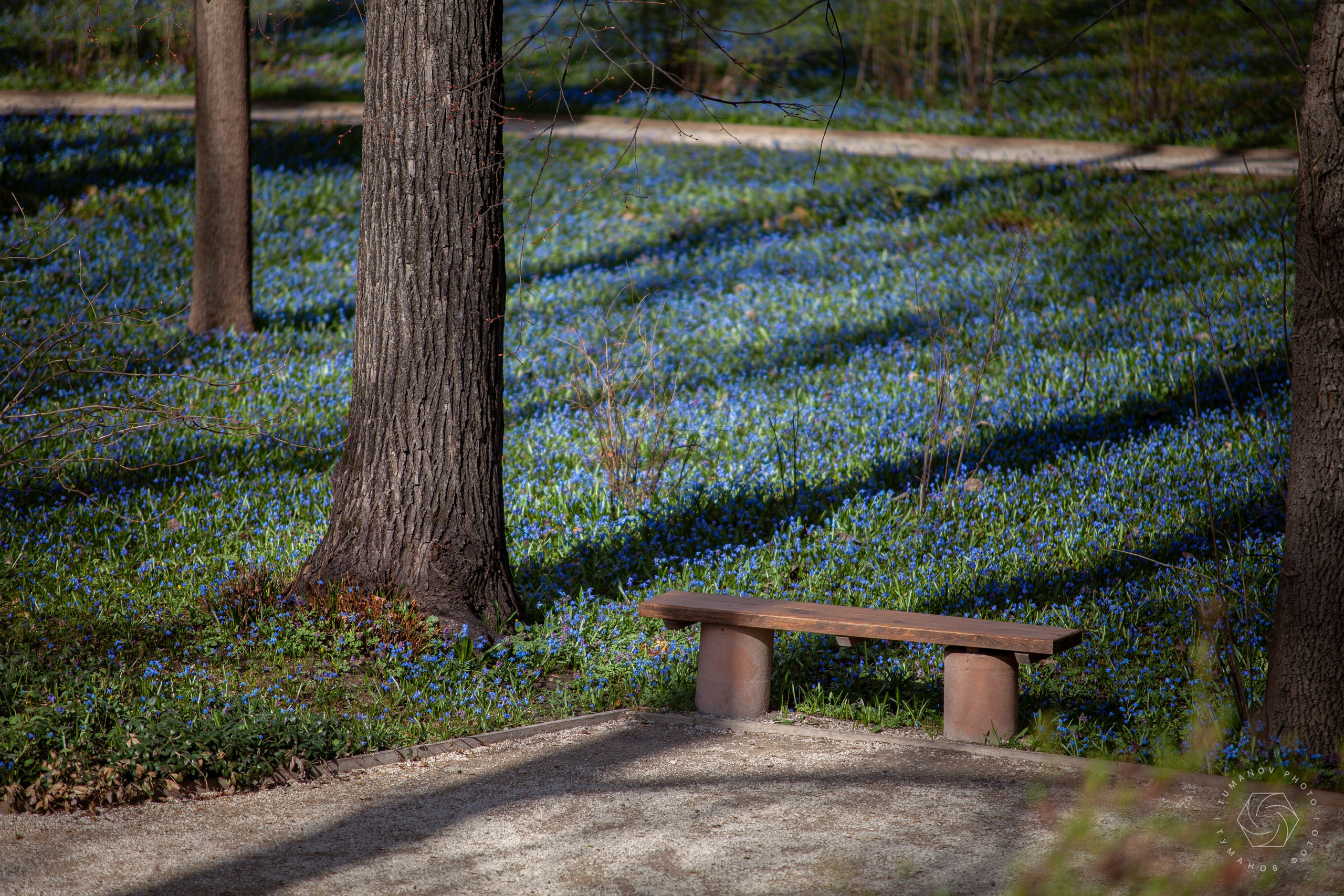 Усадьба Л. Н. Толстого в Хамовниках. Туманов Виталий — фотограф Москва