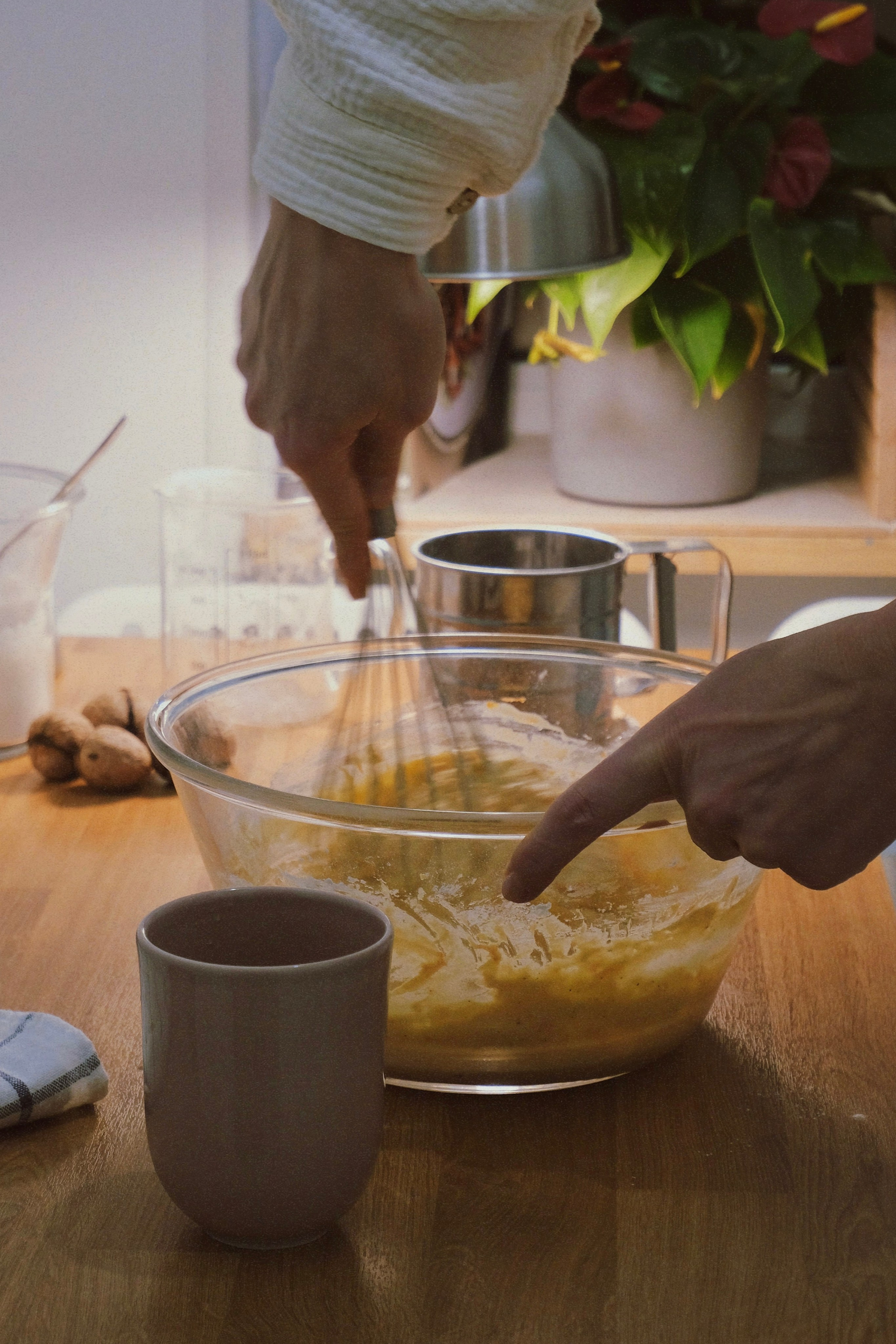 Дома. Татьян гертье