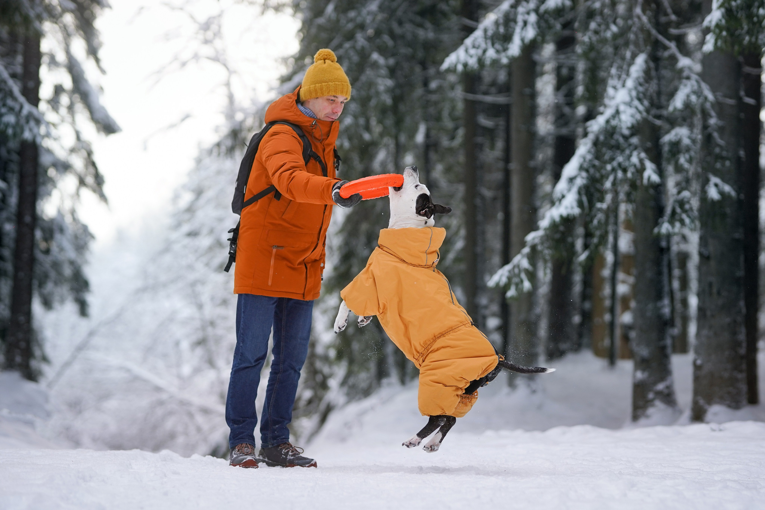 Маша Женя и Фиона. Фотограф-анималист в Санкт-Петербурге Яна Мартынова