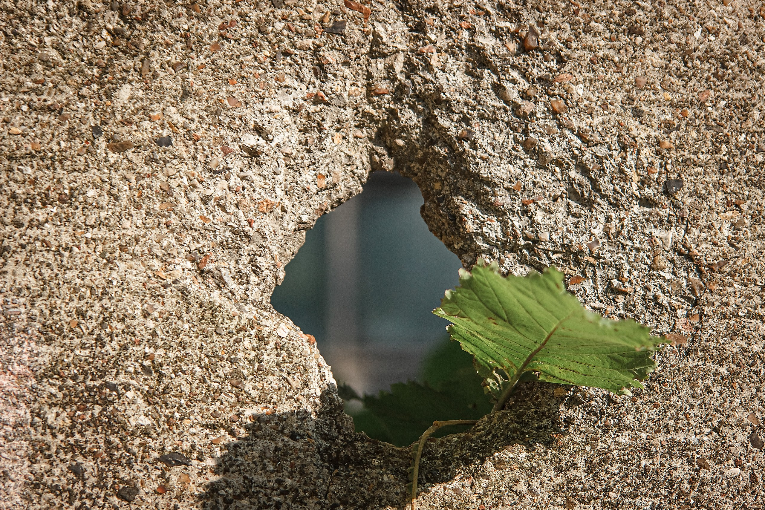 Границы и Рамки. Аmat Victoria Сuram