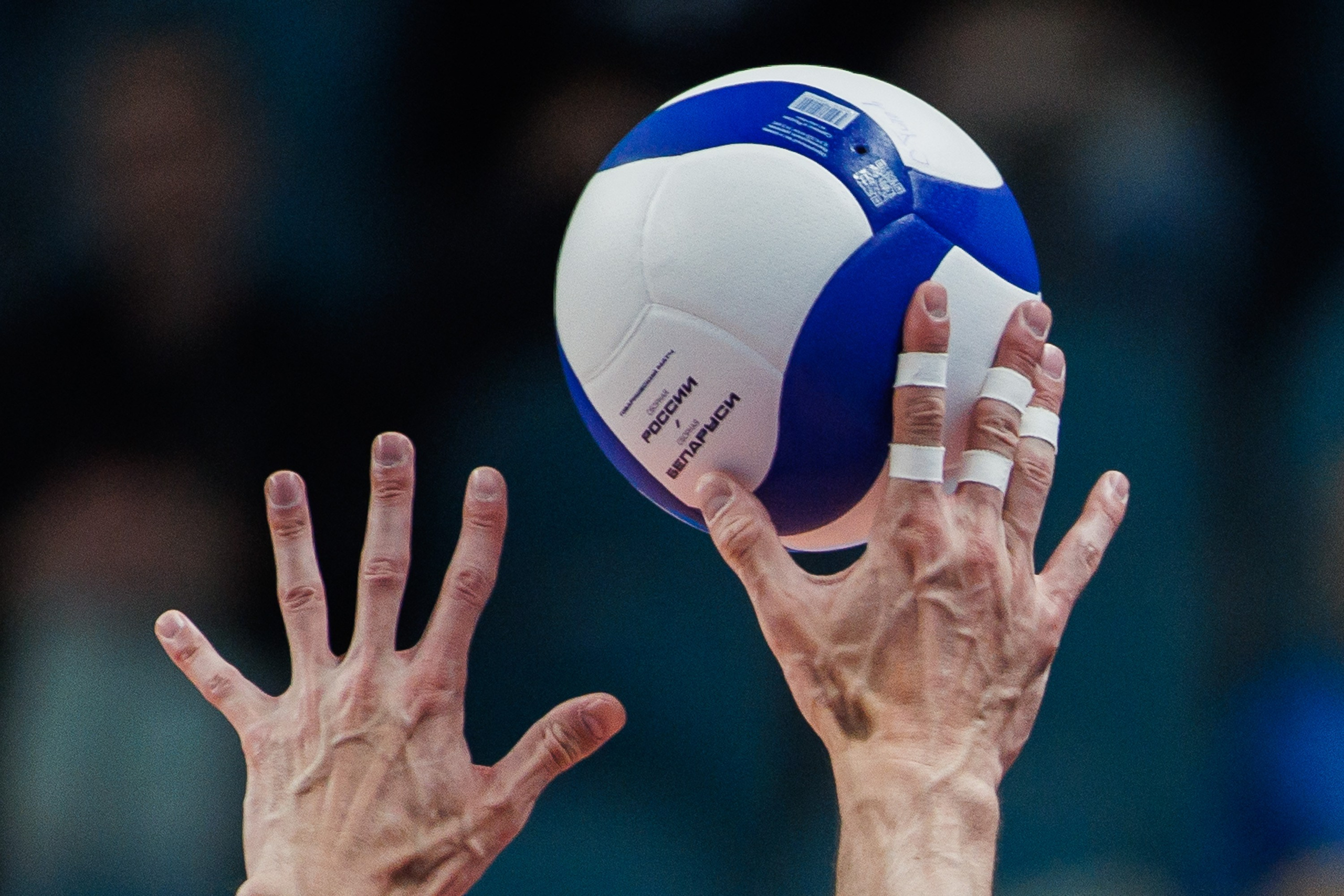 Товарищеские матчи. Волейбол. Россия — Беларусь. Photographer Danil Aykin