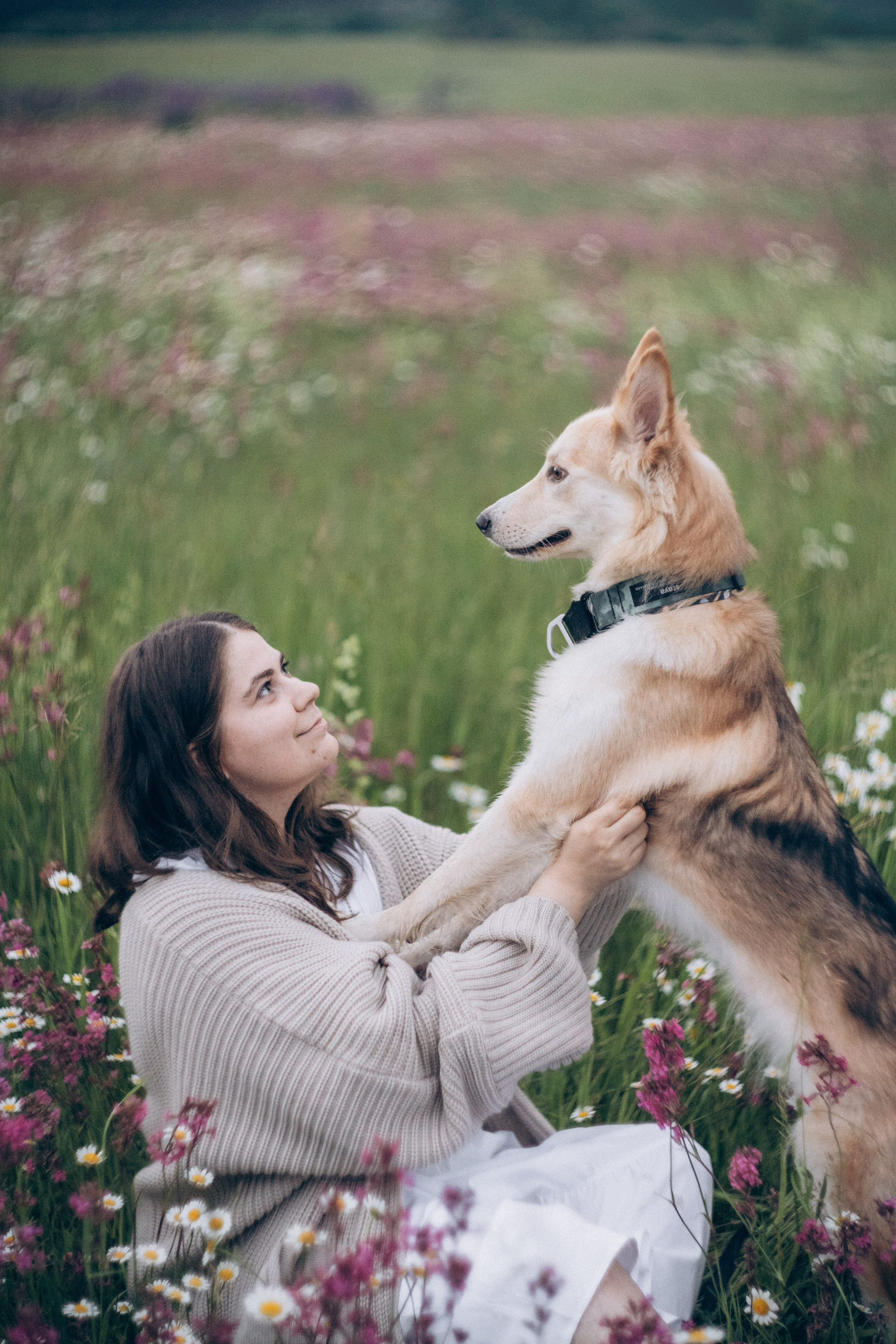 Соня и Кора. Фотограф анималист в Москве и Санкт-Петербурге Свиридова Анна