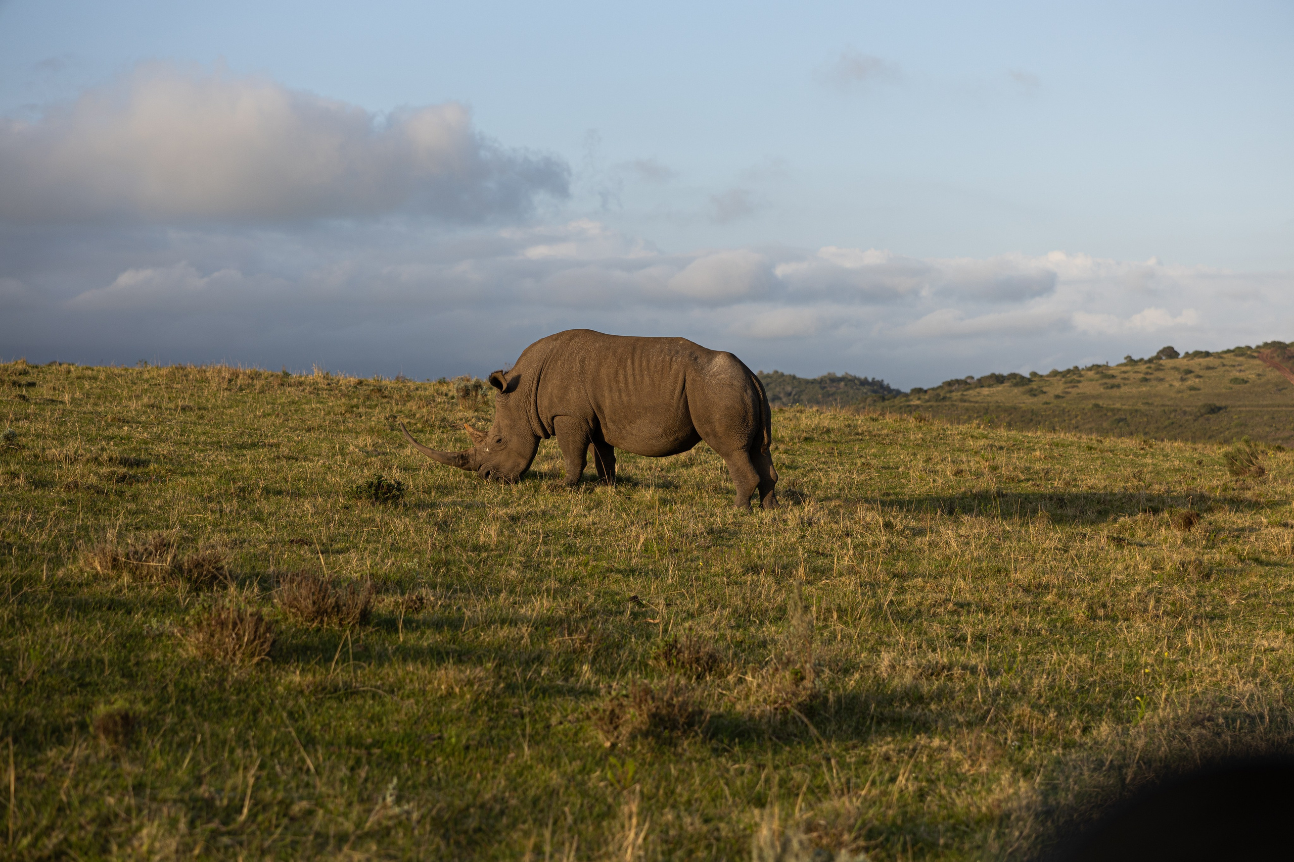 Travel. Лайфстайл Фотограф и Профессиональный Водный Фотограф в Москве