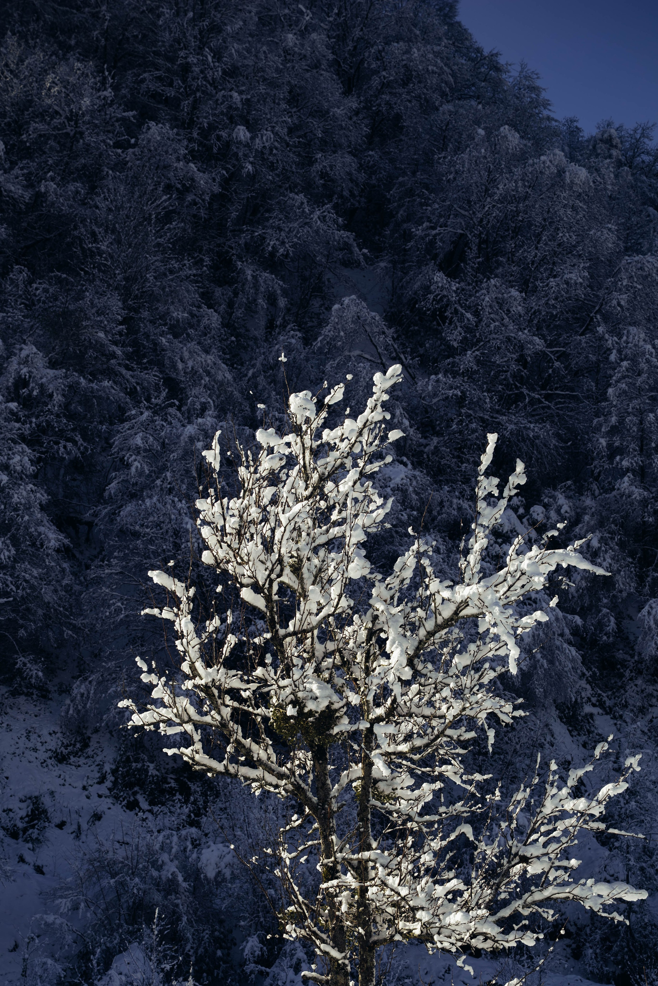 Ризе. Анна Лобанова | фотограф