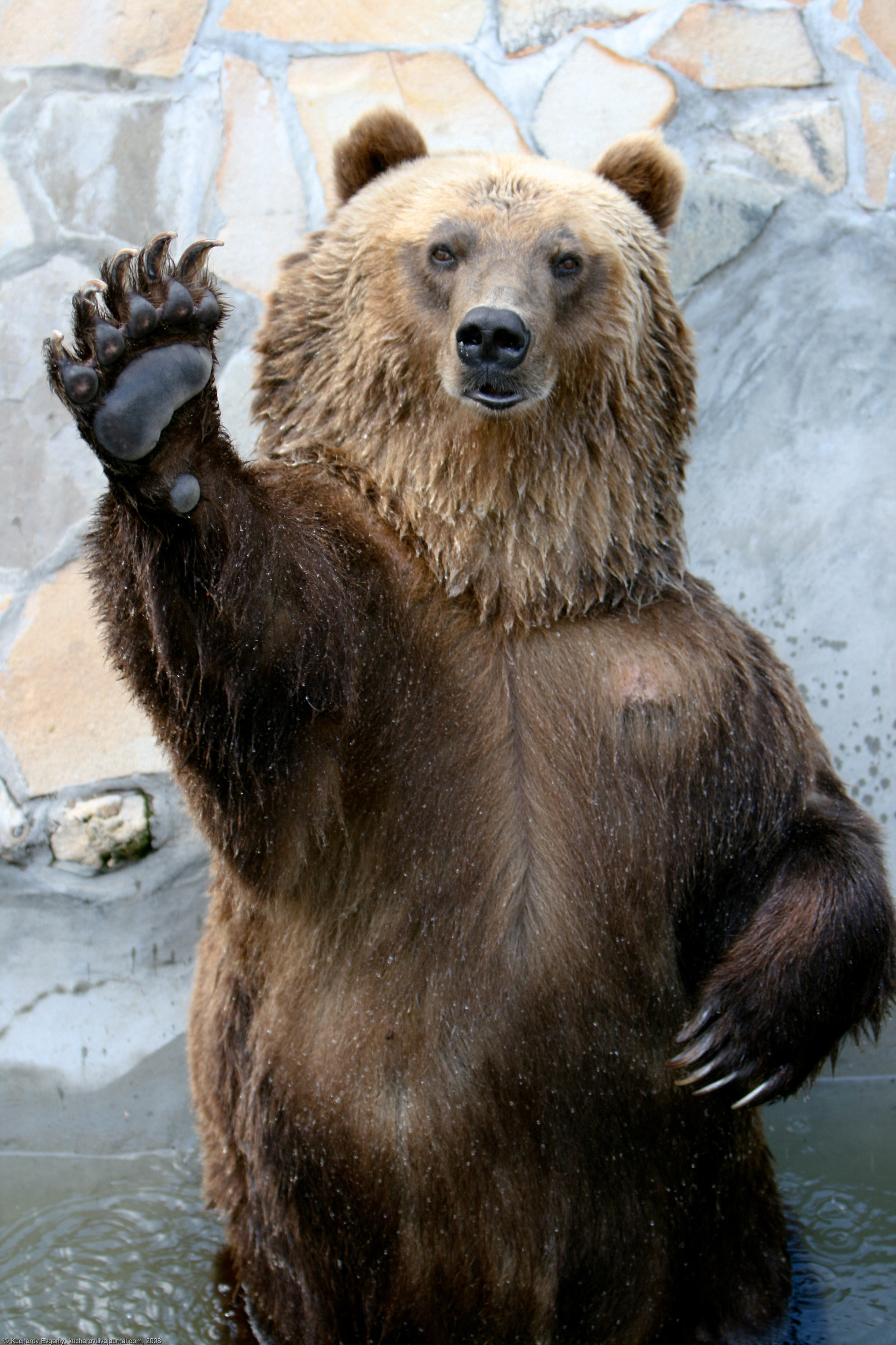 Репортаж. Кучеров Евгений. Фотограф