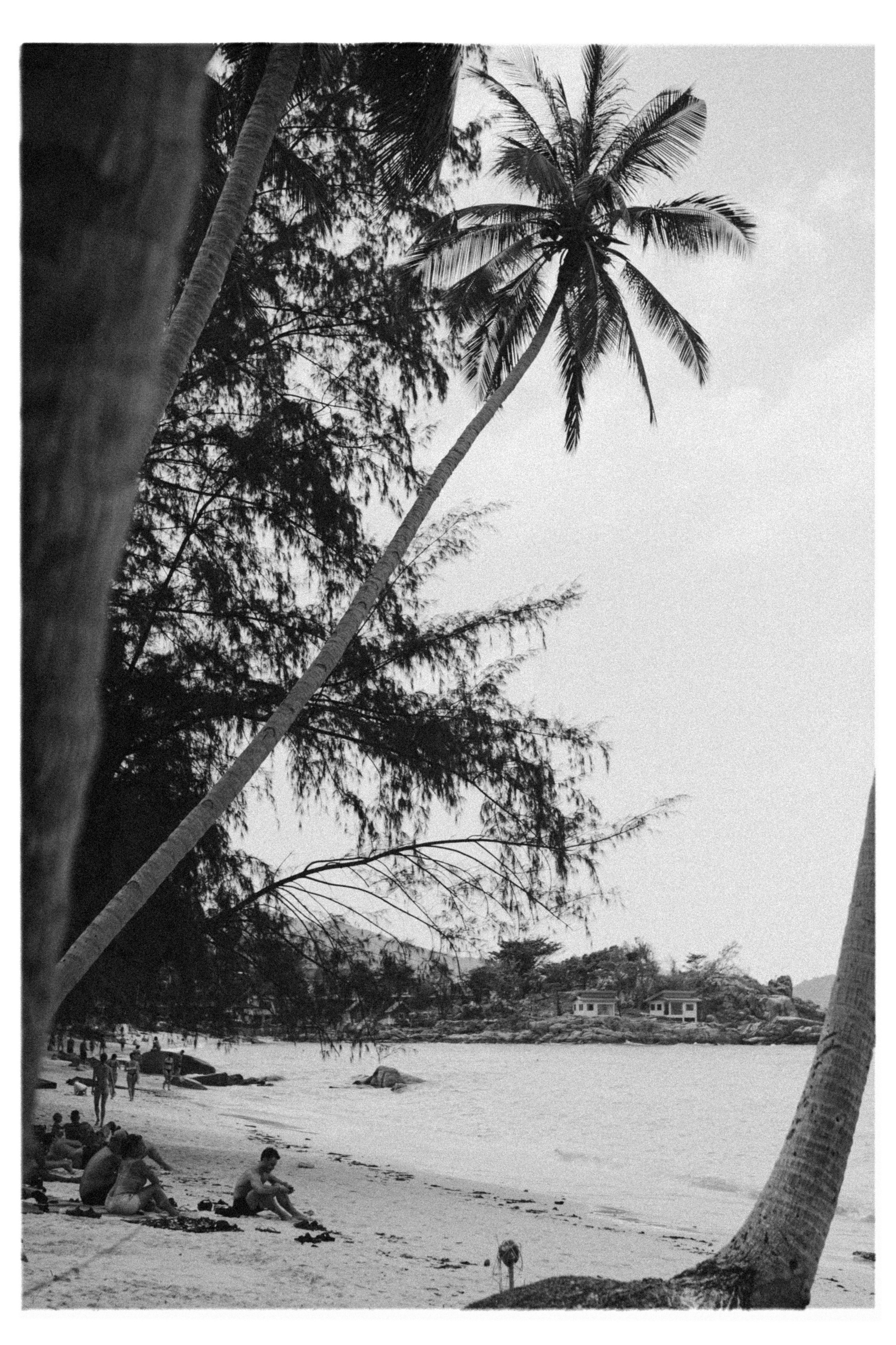 PAHNGAN 26. Свадебный и семейный фотограф Никита Корохов