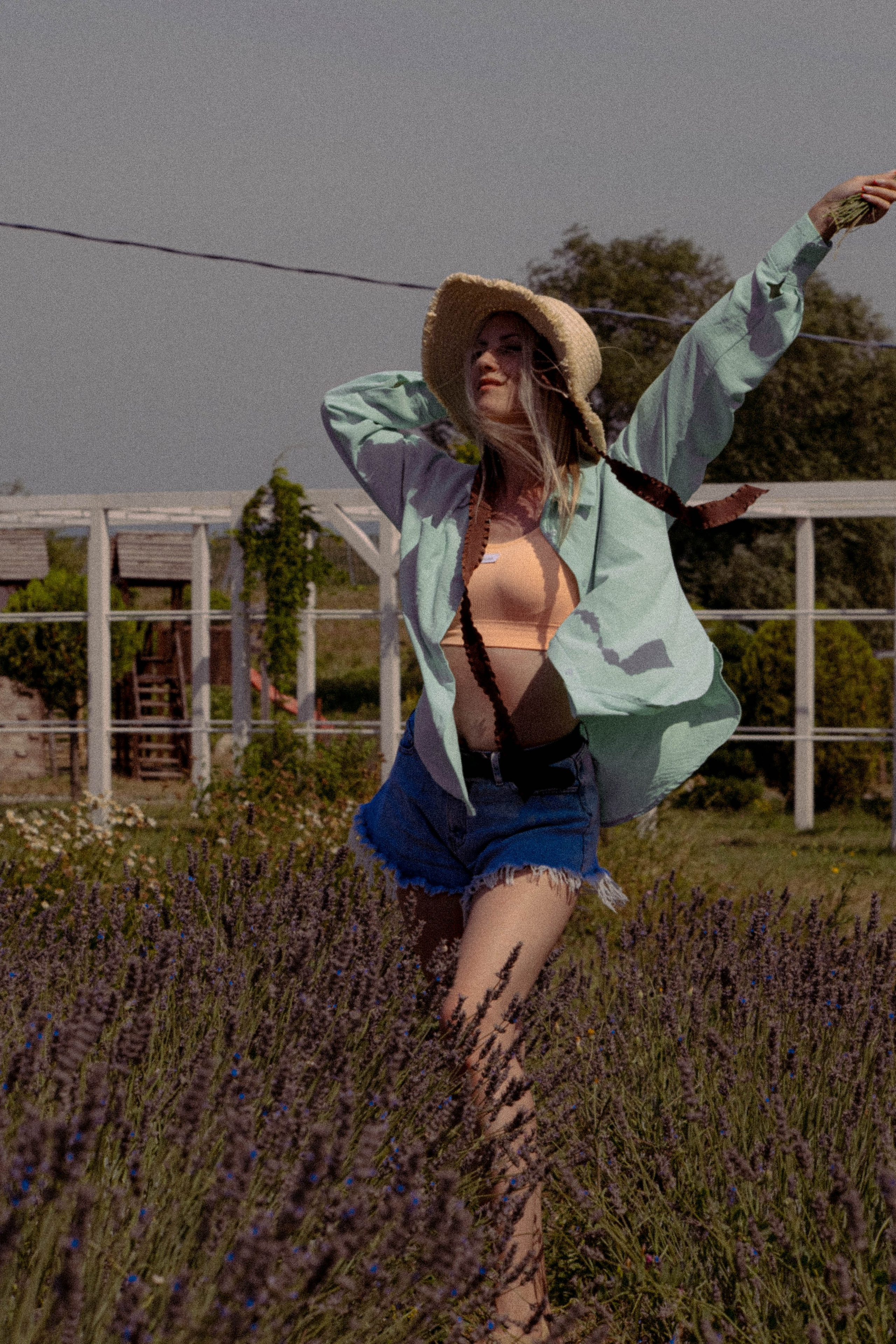 ЛАВАНВОДОВОЕ ПОЛЕ. Профессиональный фотограф, Санкт-Петербург — Виктория Богомолова