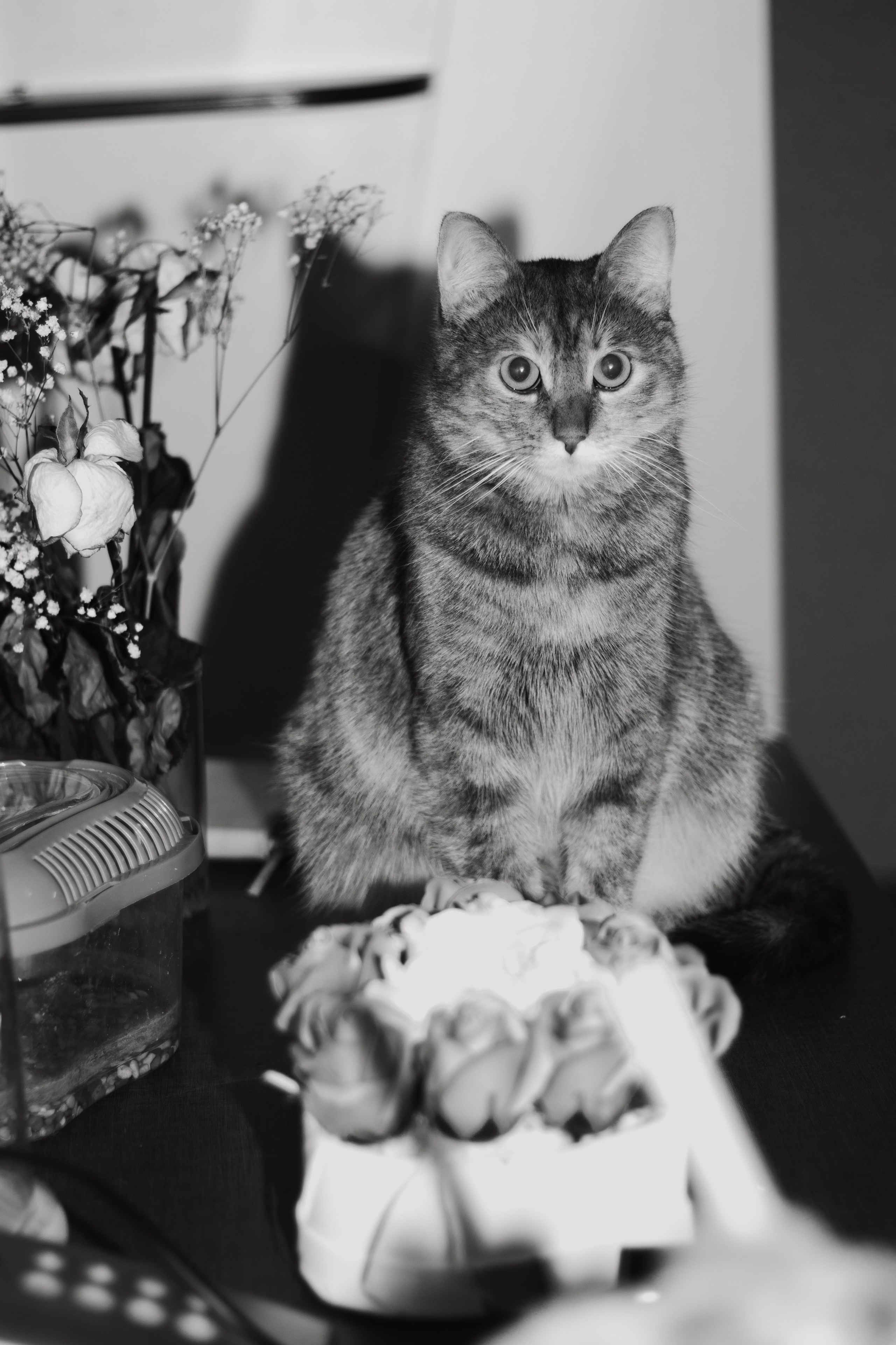 Хаус из арта. Андрей Партнов — фотогрраф, Москва