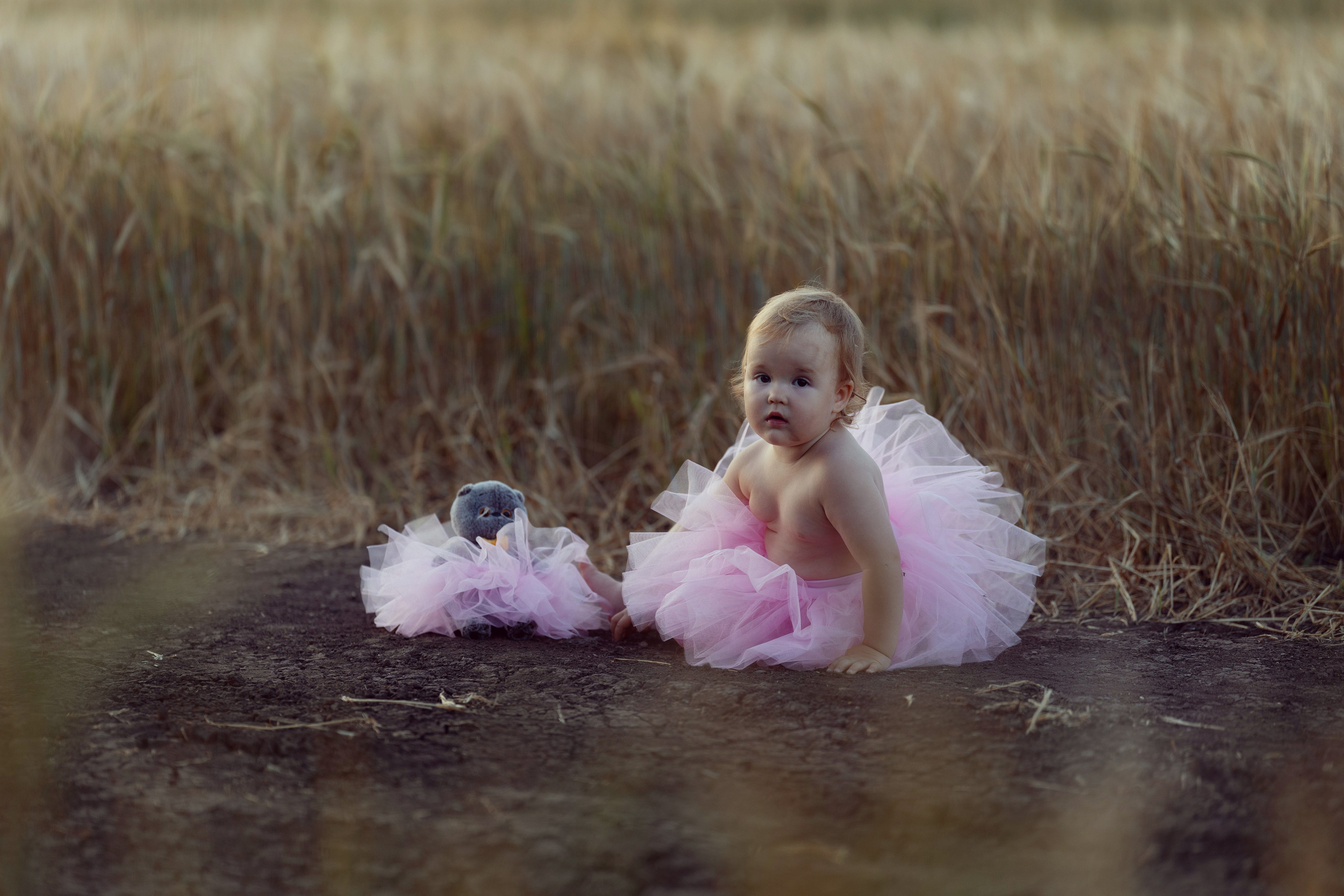 Лето в пшенице. Катя и Ульяша. Фотограф Елена Бабушкина