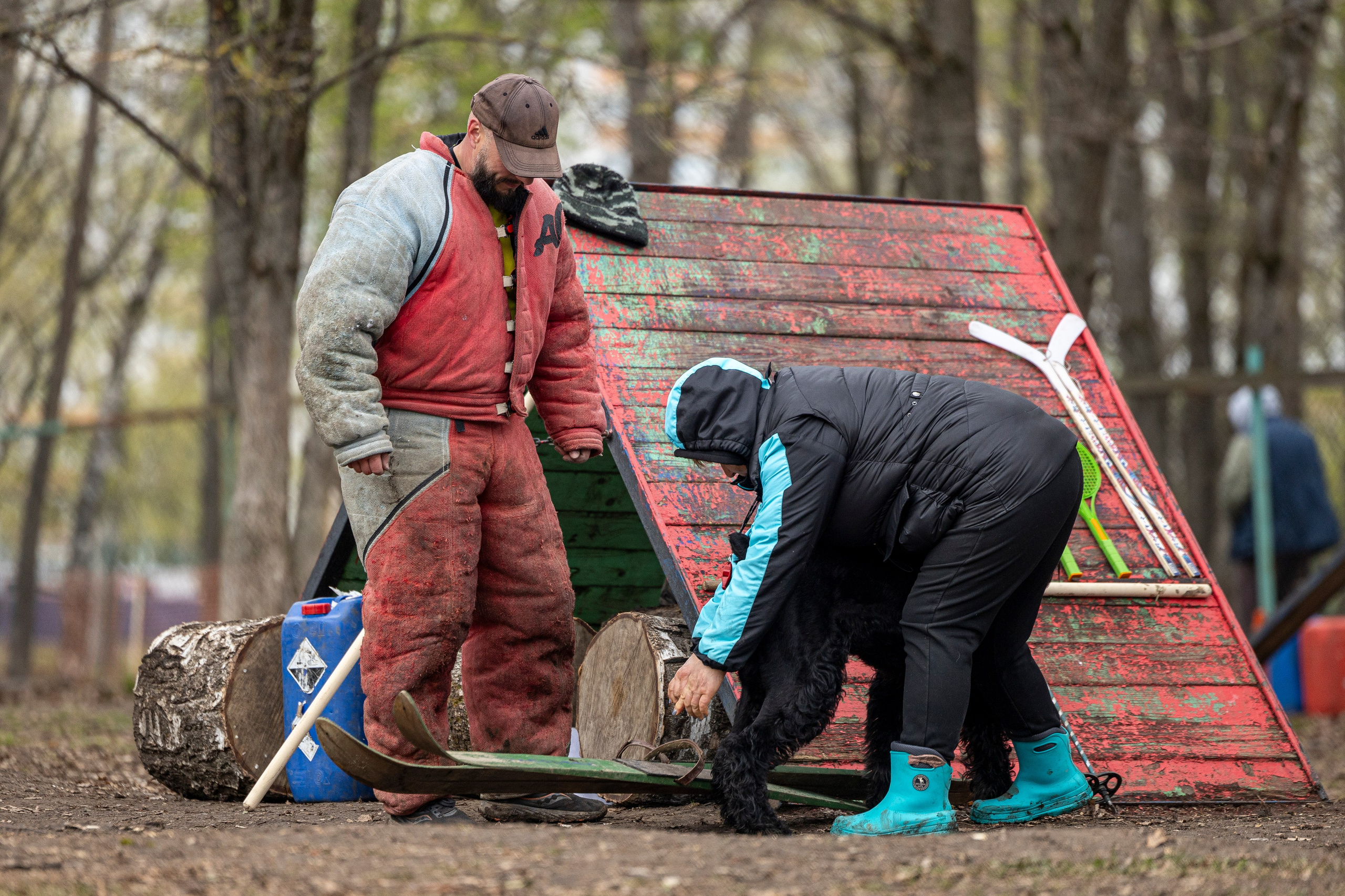 Квалификационные состязания по мондьорингу г. Вологда 11.05.24. Фотограф-анималист Анна Маринич
