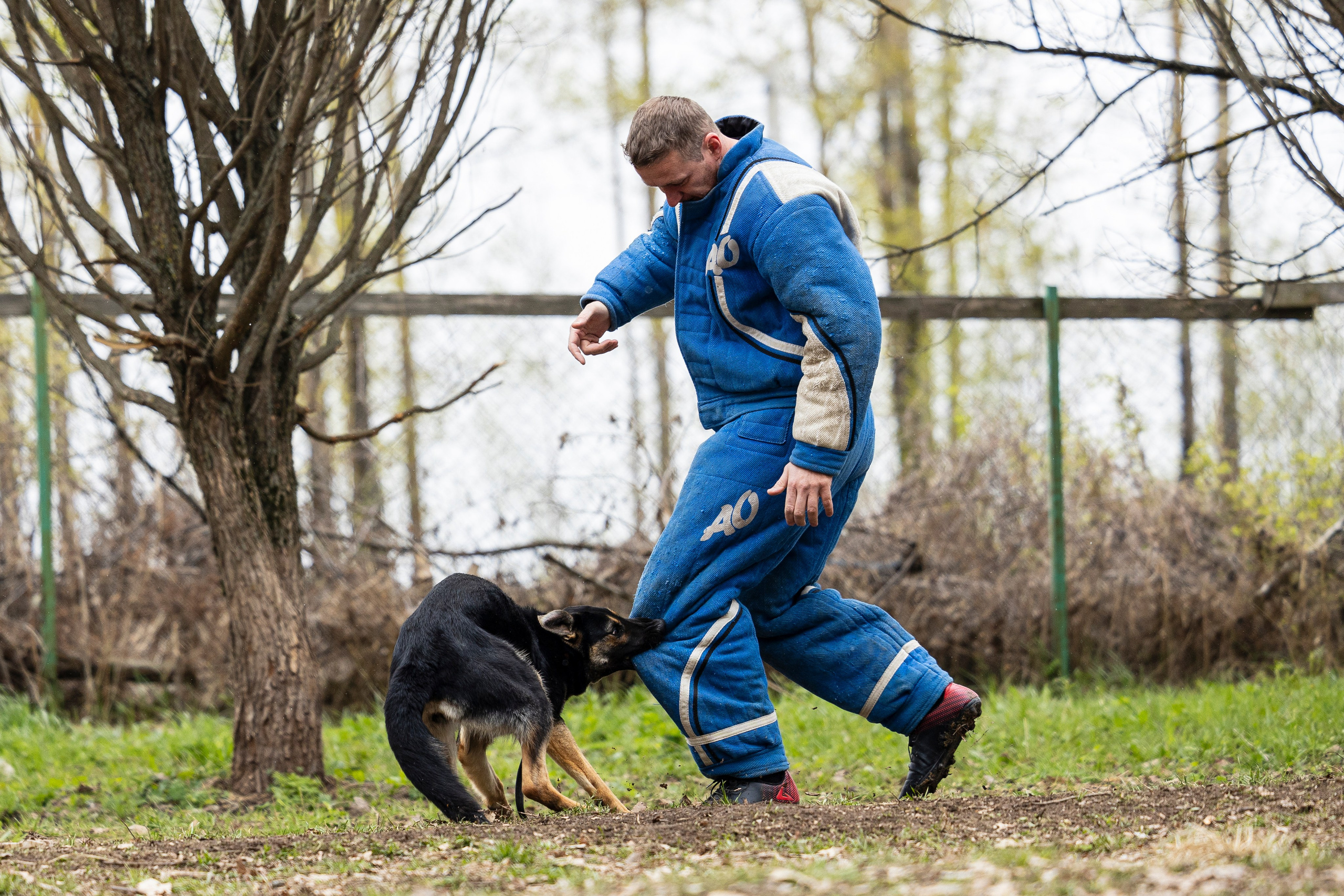 Квалификационные состязания по мондьорингу г. Вологда 11.05.24. Фотограф-анималист Анна Маринич