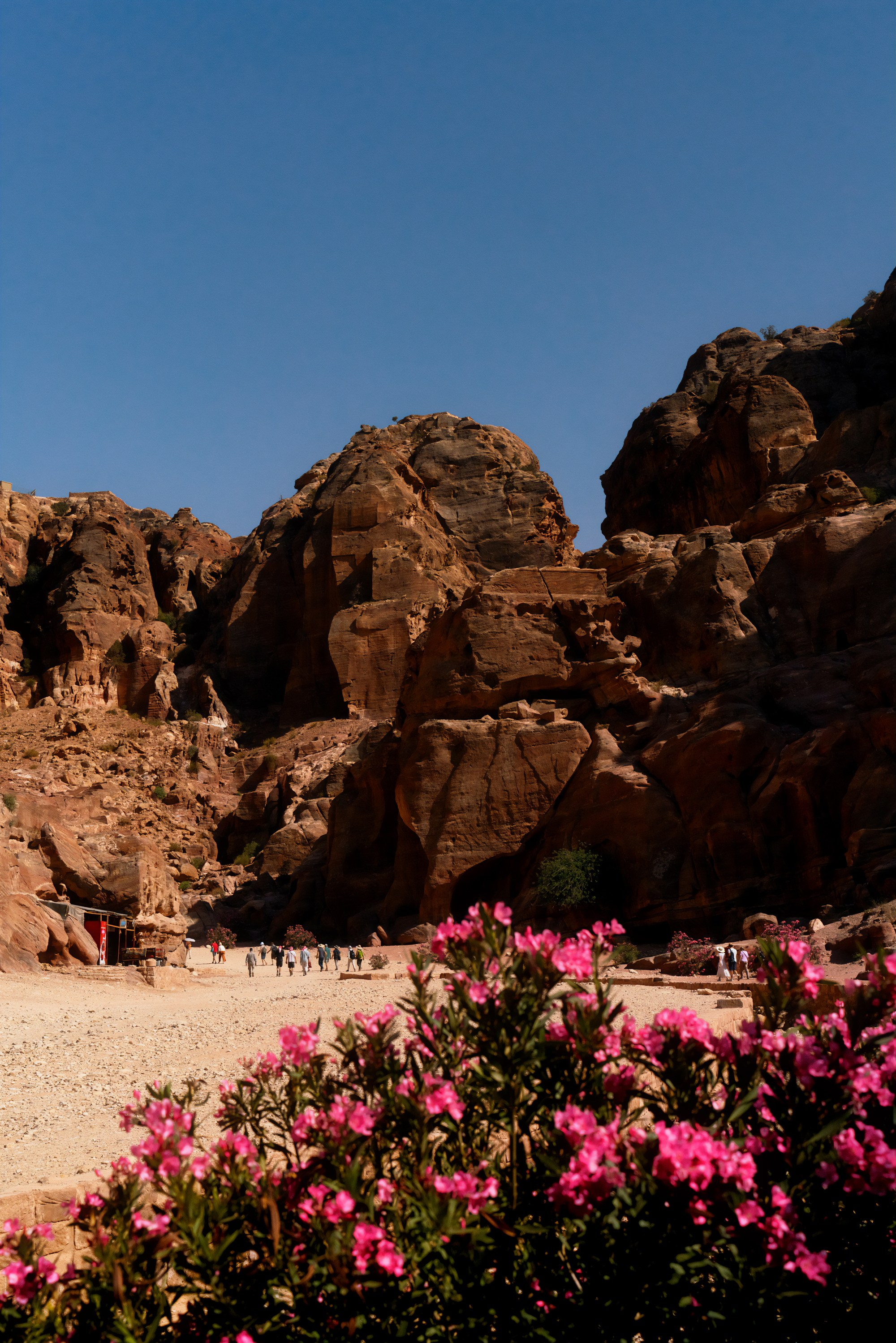 Турция, Греция, Иордания. Фотограф в Хабаровске. Фотография за 24 часа