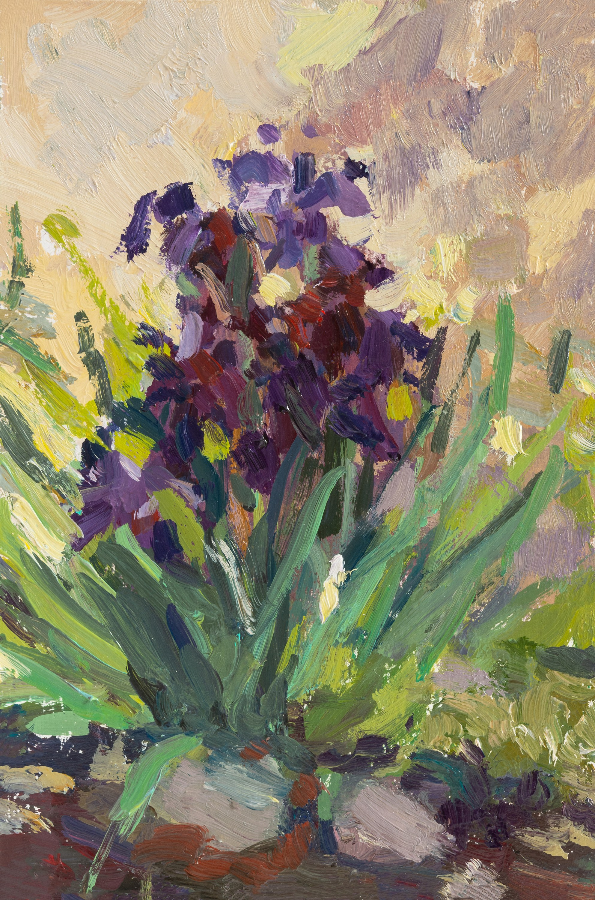 "Ирисы зацвели" картон, масло 15х10см, 2025