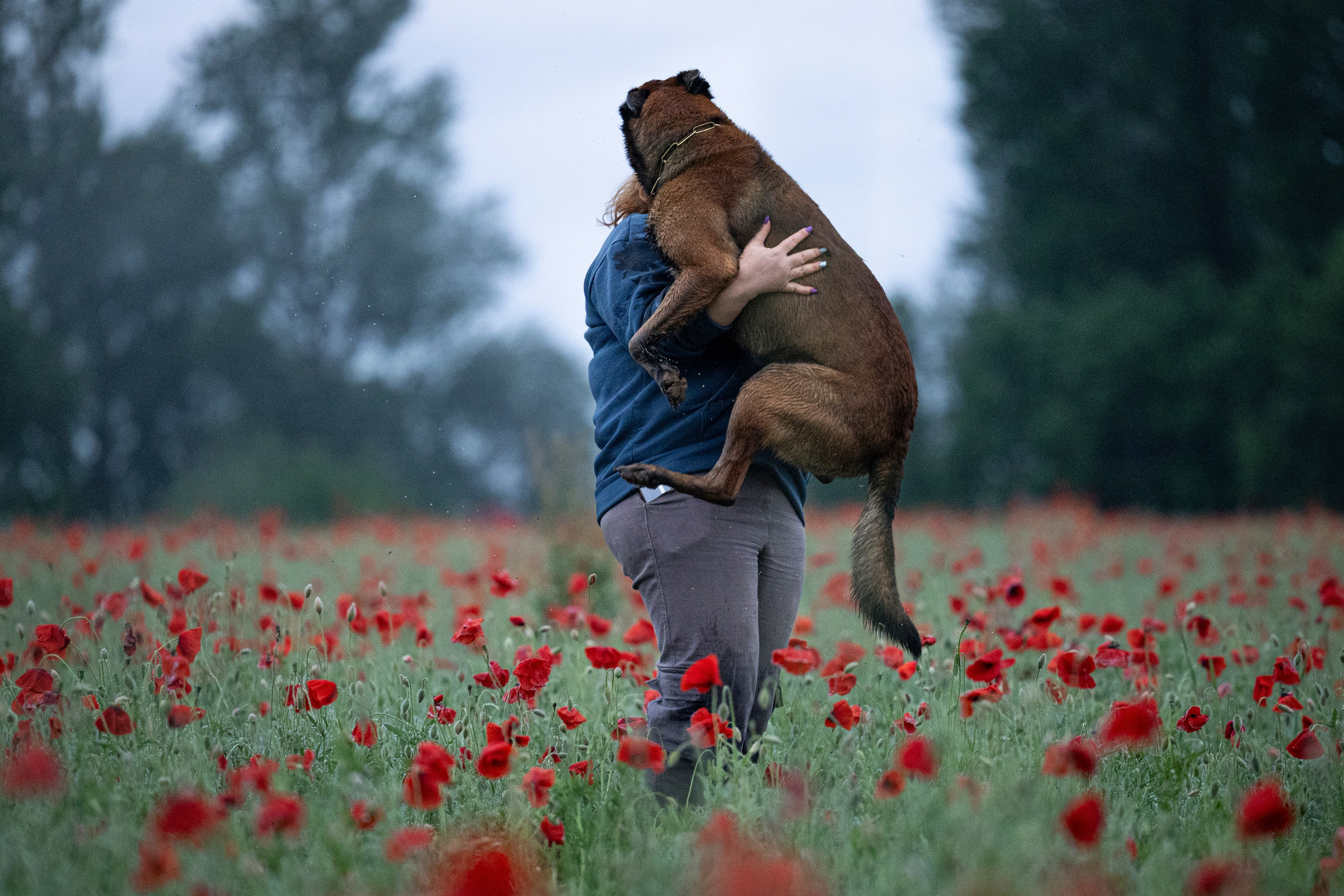Маковое поле. Фотограф-анималист Анна Маринич