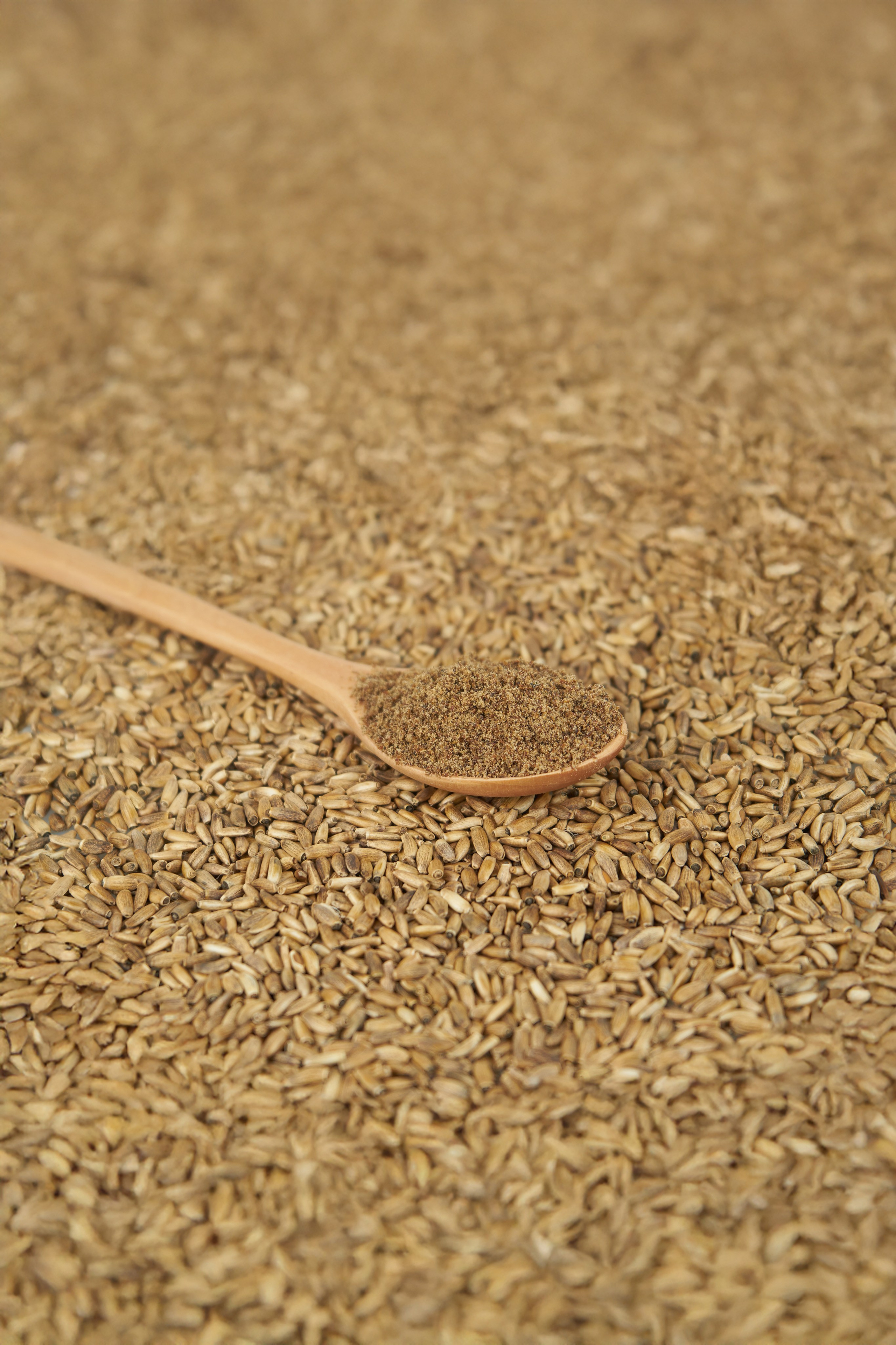 Клетчатка. Концептуальный фотограф Шлыкова Ольга