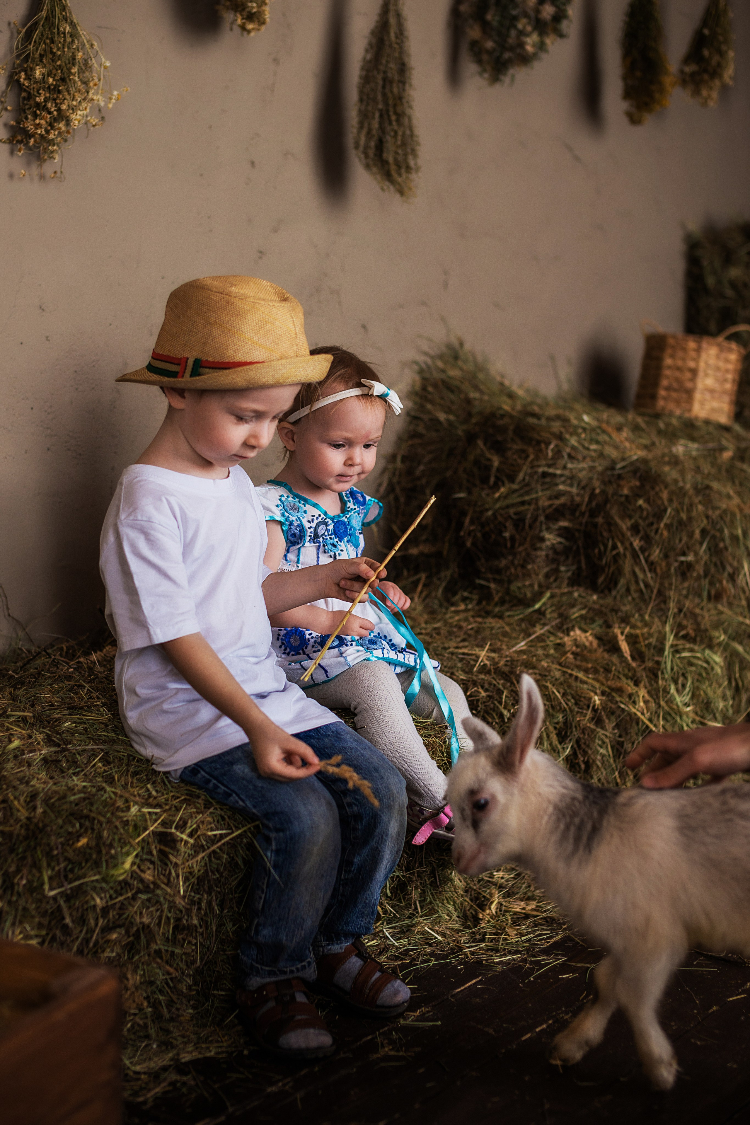 Дети и животные…самый милый альбом. Семейный фотограф в Саратове