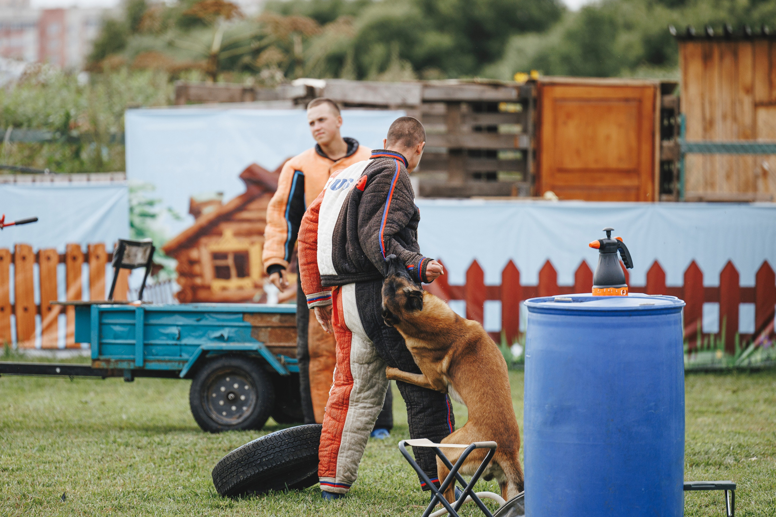 08.08.25-10.08.25 ЧР по мондьорингу г. Вологда. Фотограф-анималист Анна Маринич