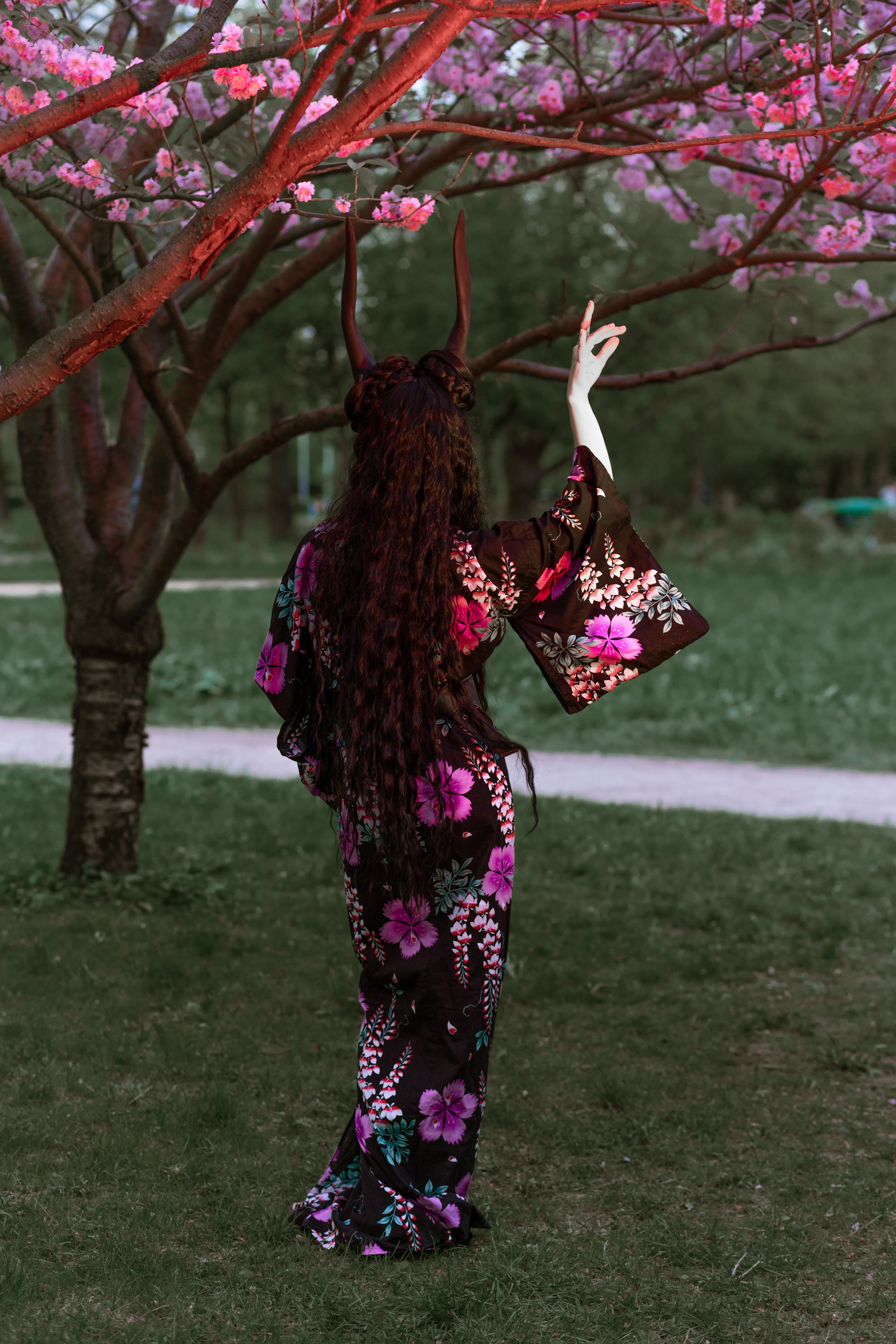 Кирисакура- соцветия вишни в тумане