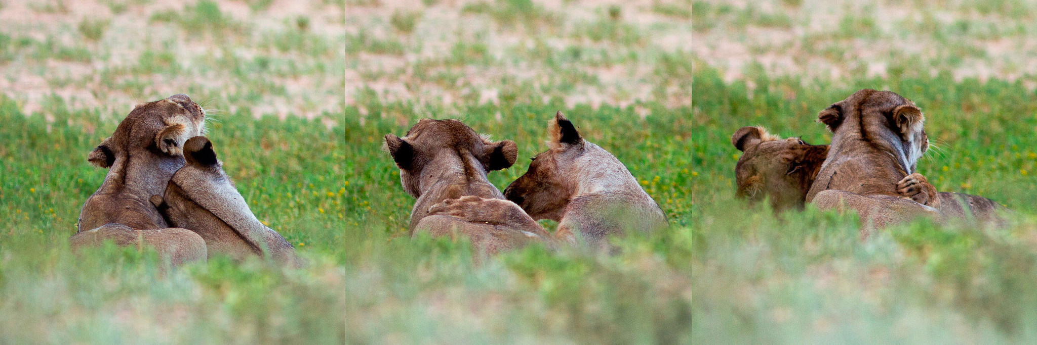 Фотоархив • Портретная съемка