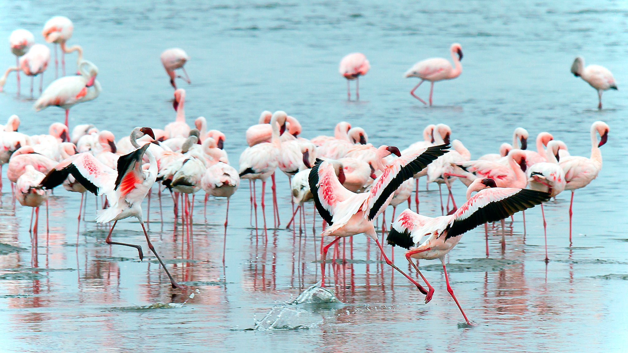 Фотоархив • Портретная съемка