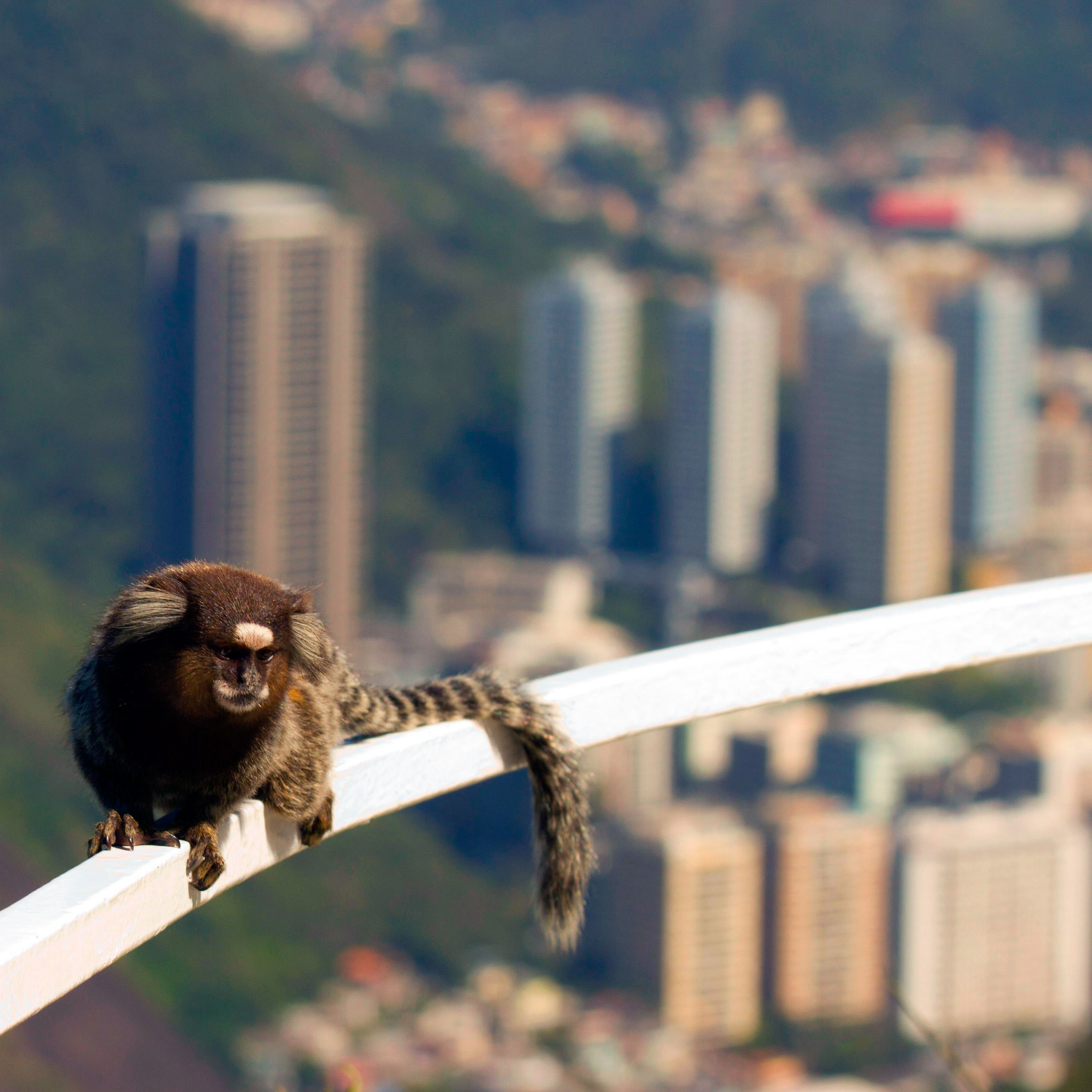 Фотоархив • Портретная съемка