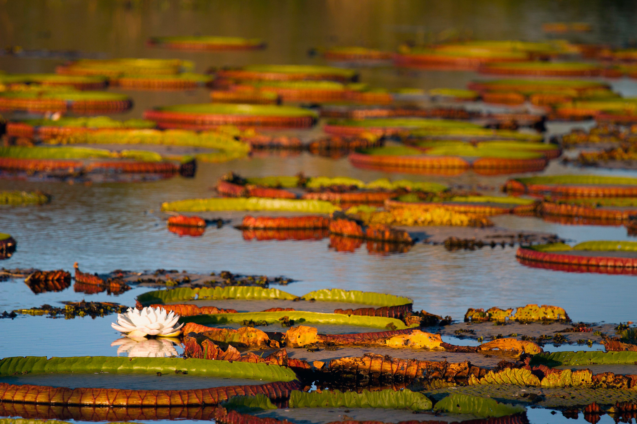 Фотоархив • Портретная съемка