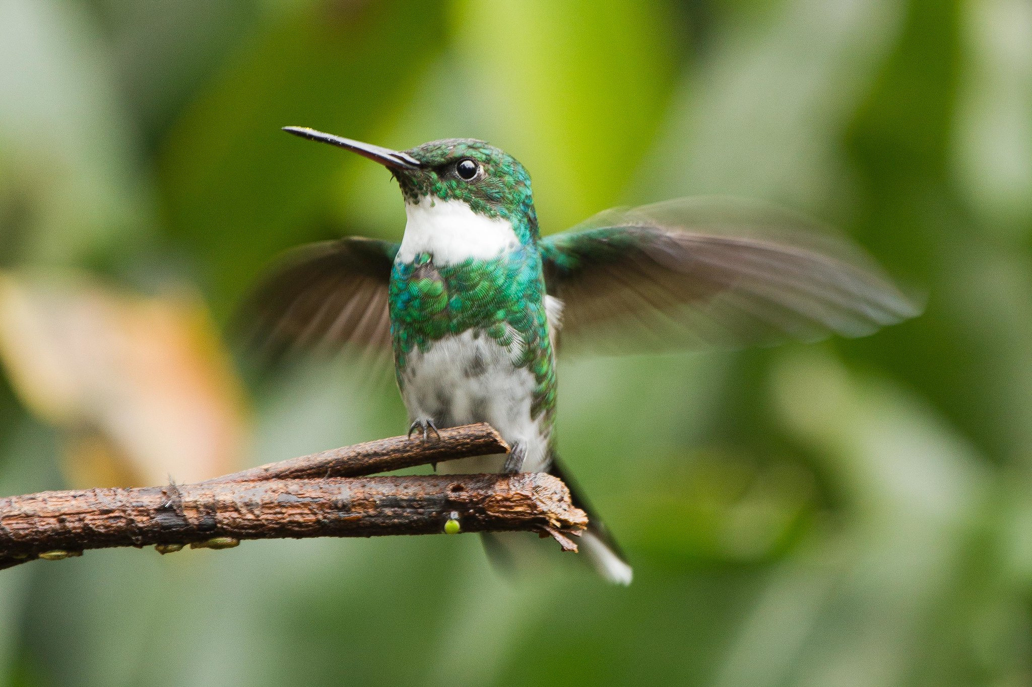 Фотоархив • Портретная съемка