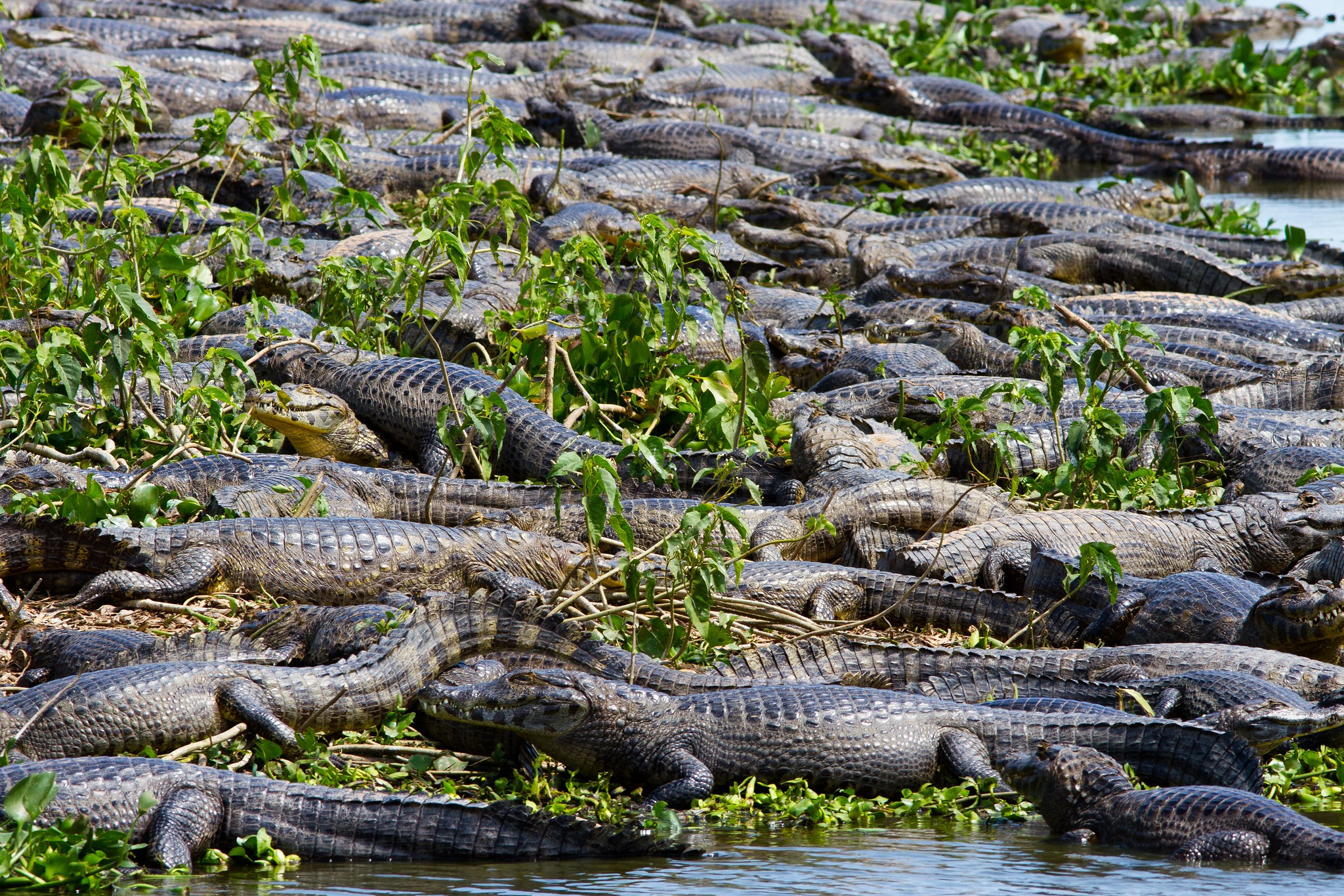 Фотоархив • Портретная съемка