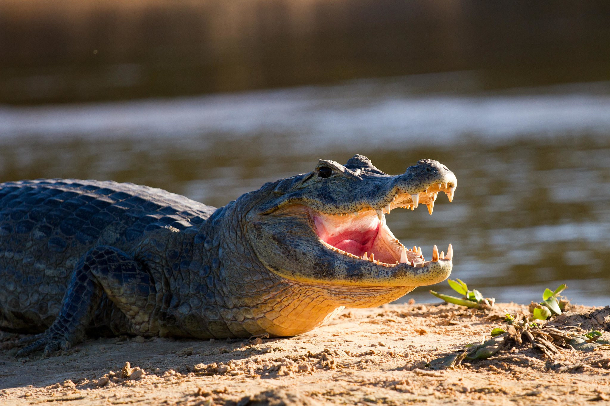 Фотоархив • Портретная съемка