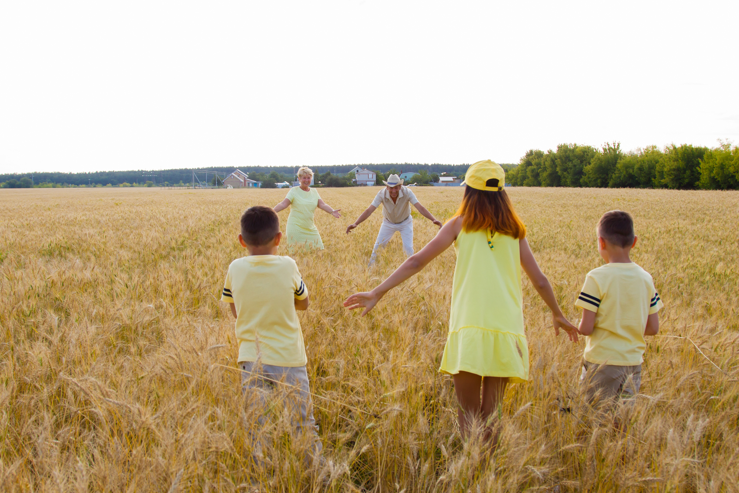 Пшеничные поля