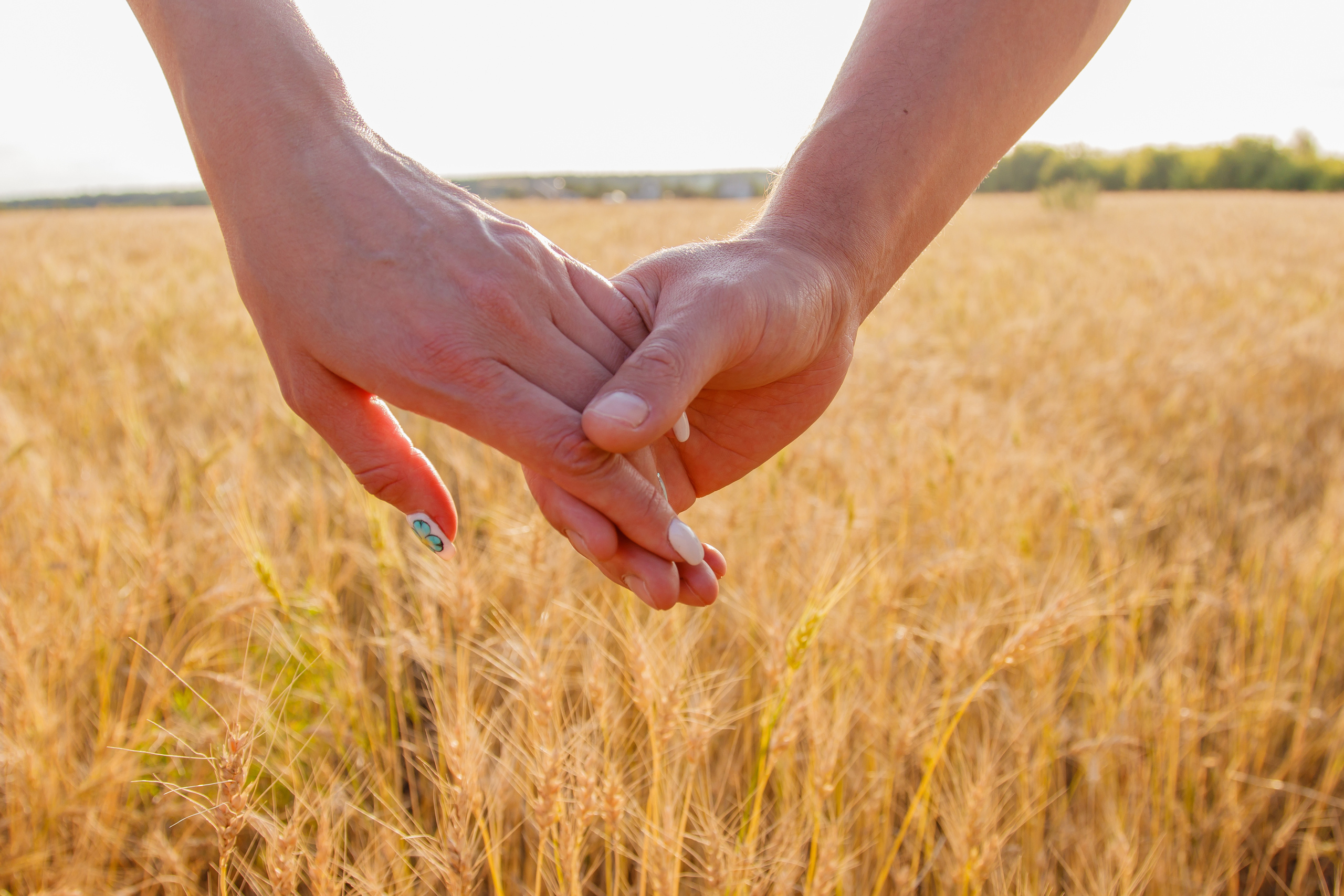 Пшеничные поля