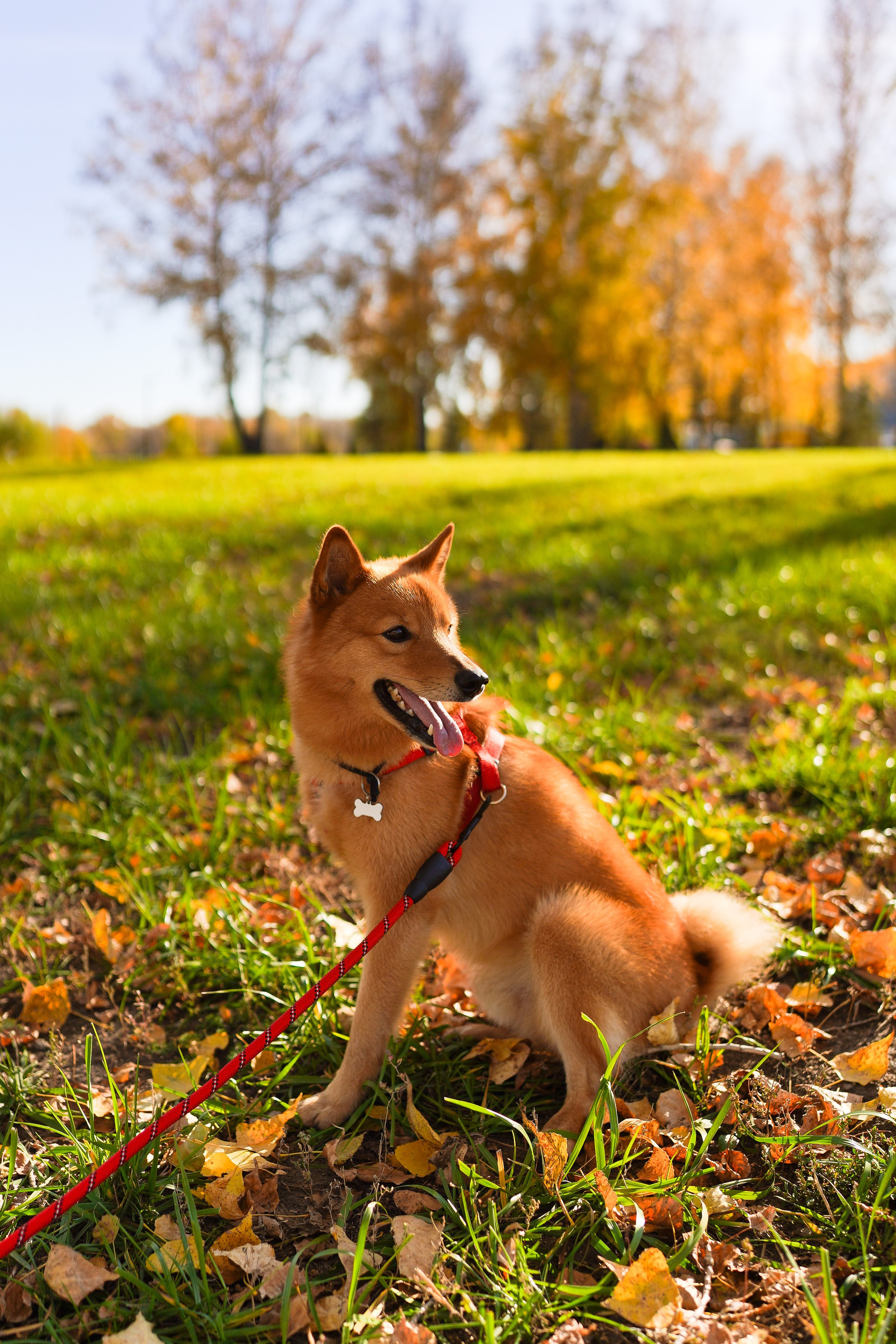 Смотреть серию. ЖЕНСКИЙ ФОТОГРАФ КРИСТИНА ВИГЕЛЬ