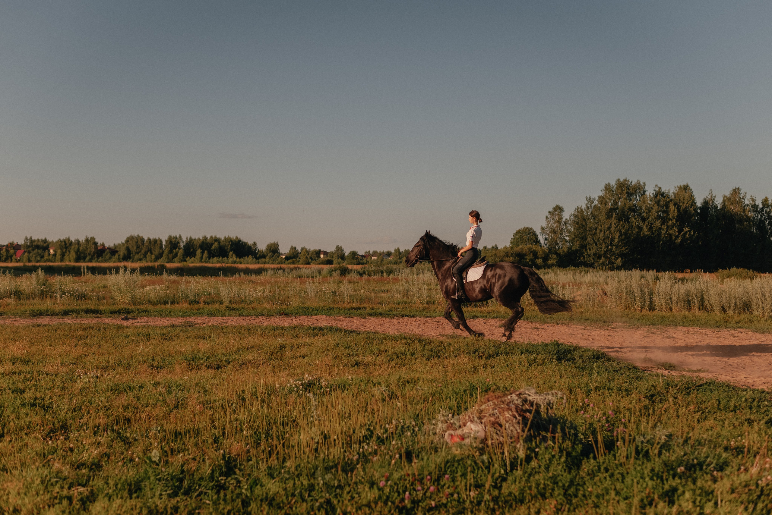 Конные фотопрогулки. Профессиональный фотограф в Ярославле и Москве, Филинская Анастасия