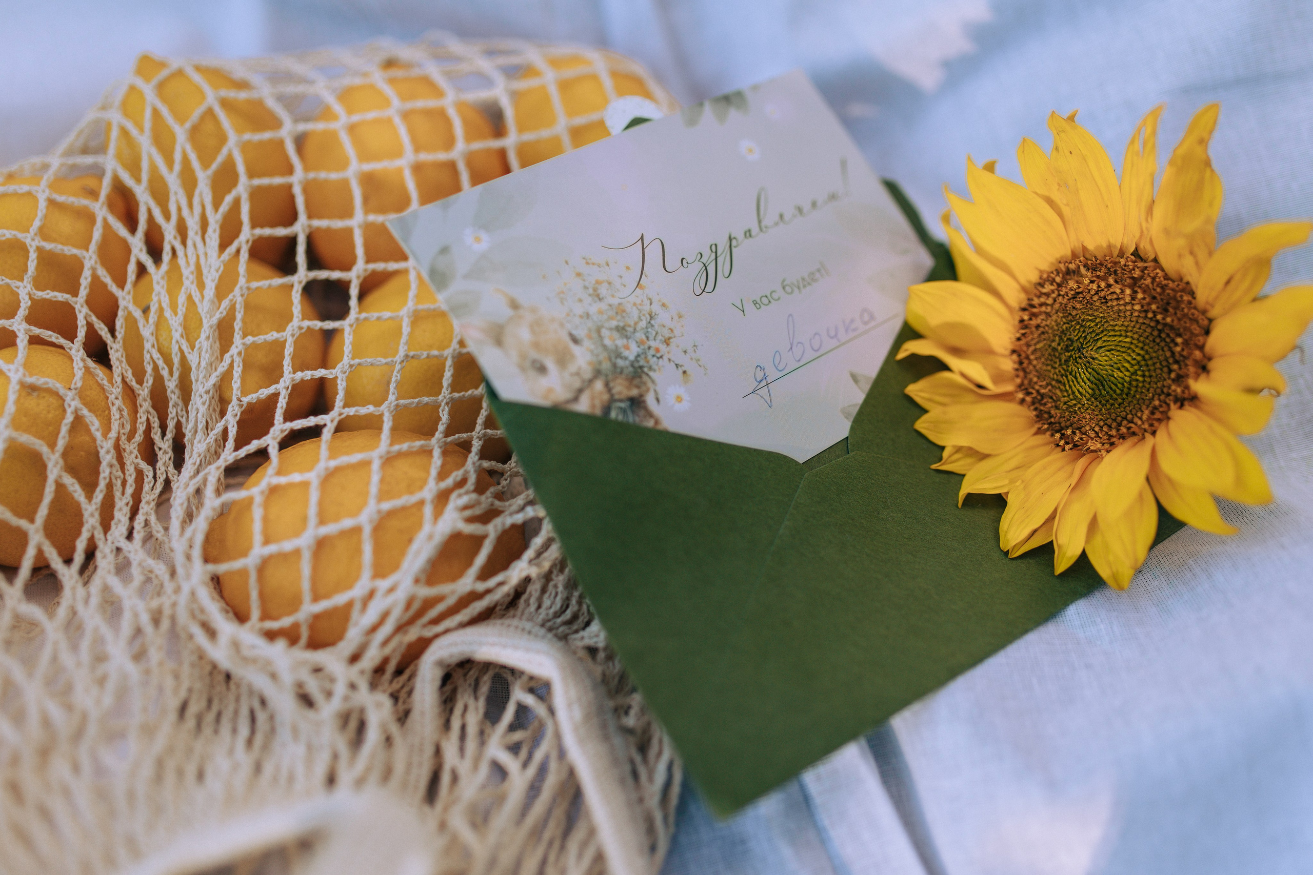 Дима и Юля. Свадебный и семейный фотограф в Туле и области Маша Костина