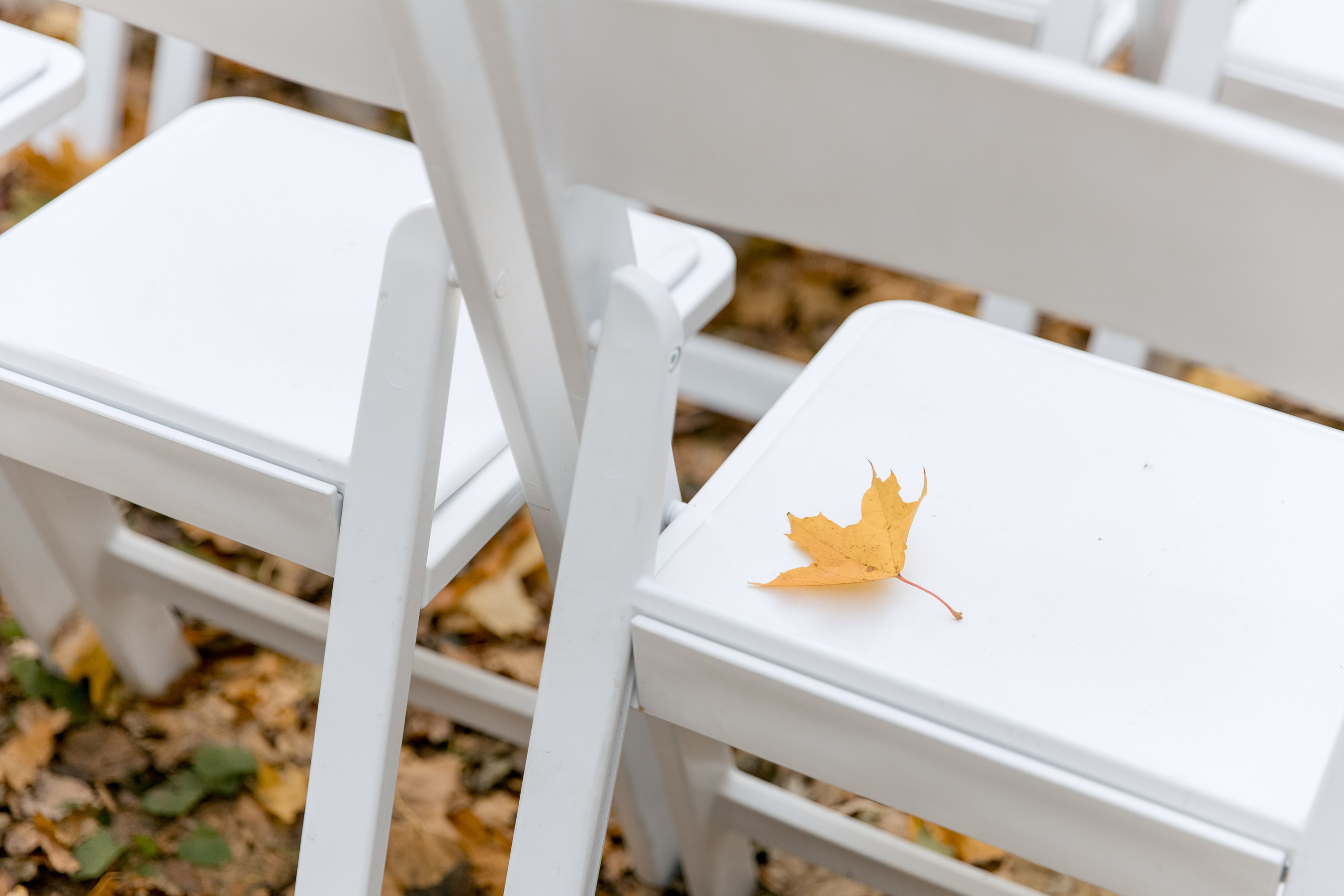 Паша и Катя. Свадебный и семейный фотограф в Туле и области Маша Костина