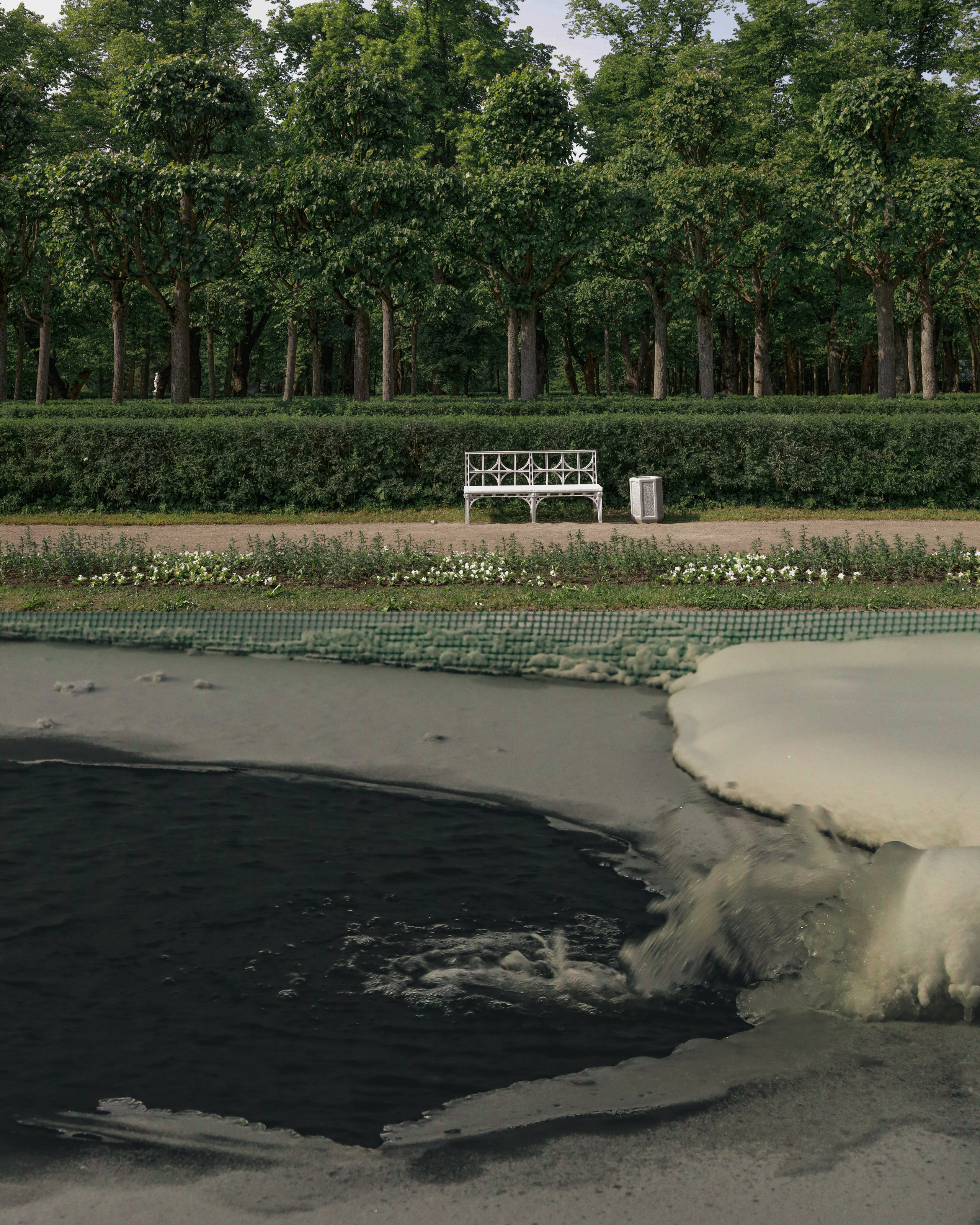 " Фотографирование - это как рыбная ловля или писательство . Оно означает проявлять из неизведанного то, что сопротивляется и отказывается выходить на свет " 