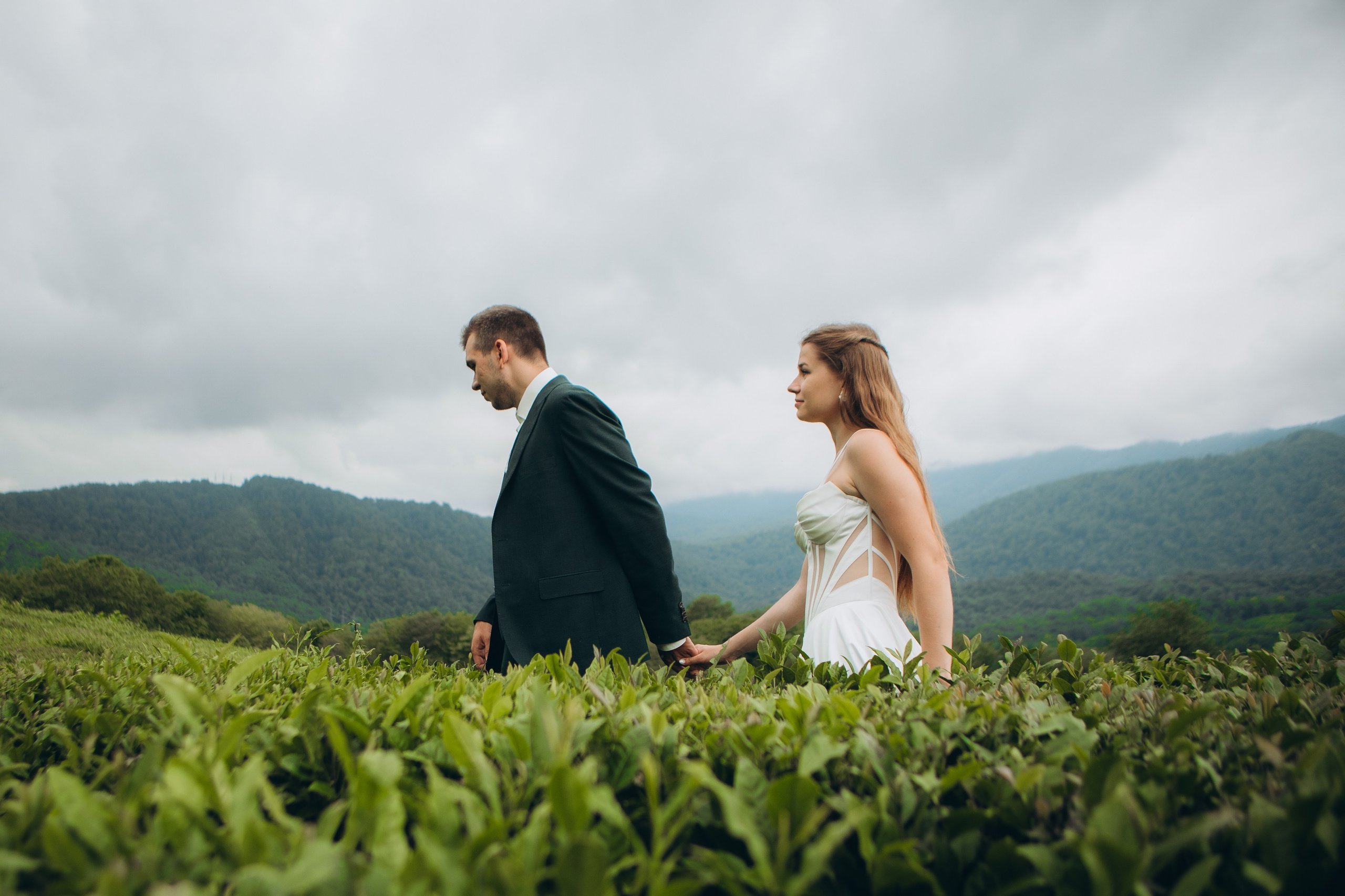 Чайные плантации. Семейный и свадебный фотограф Сочи Адлер Сириус Красная поляна