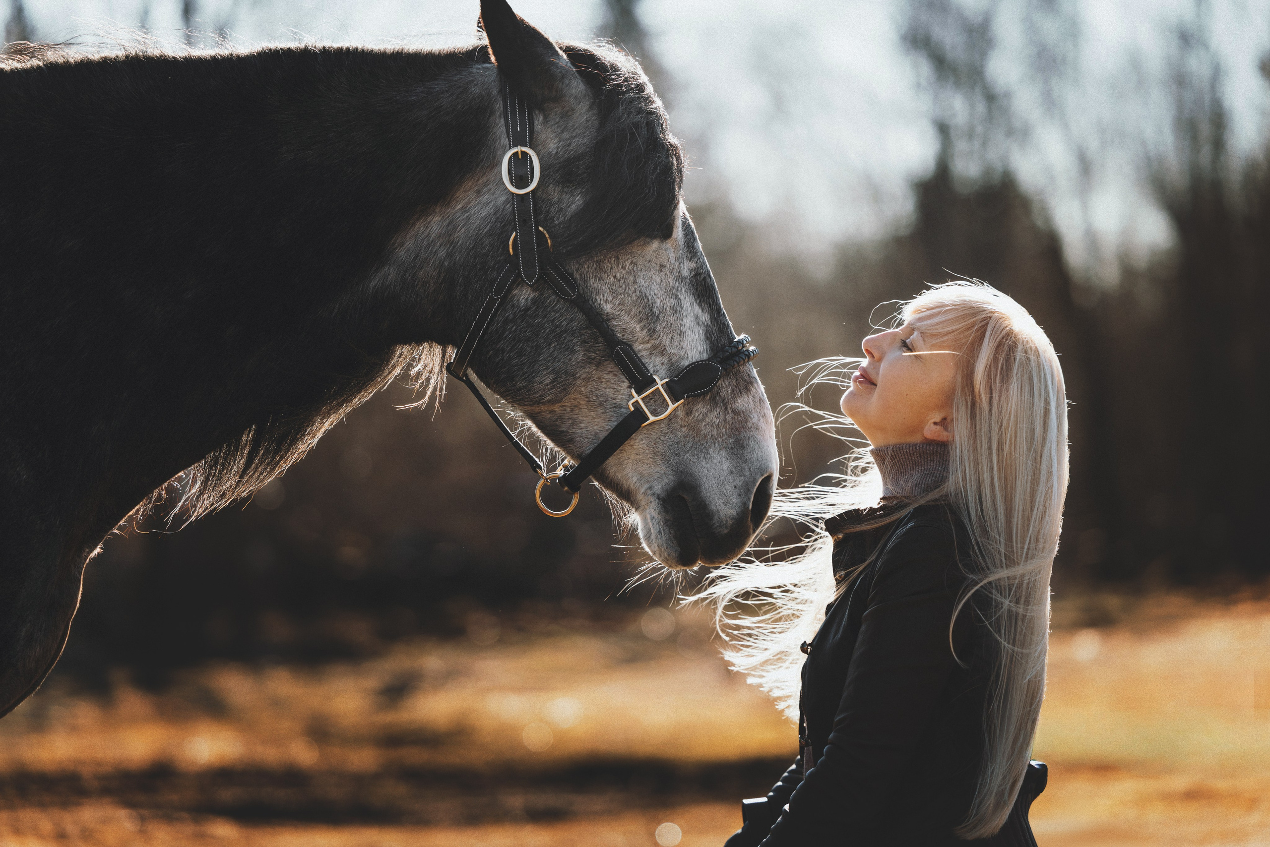Ирина и Командор. Фотограф анималист Осипчикова Мария