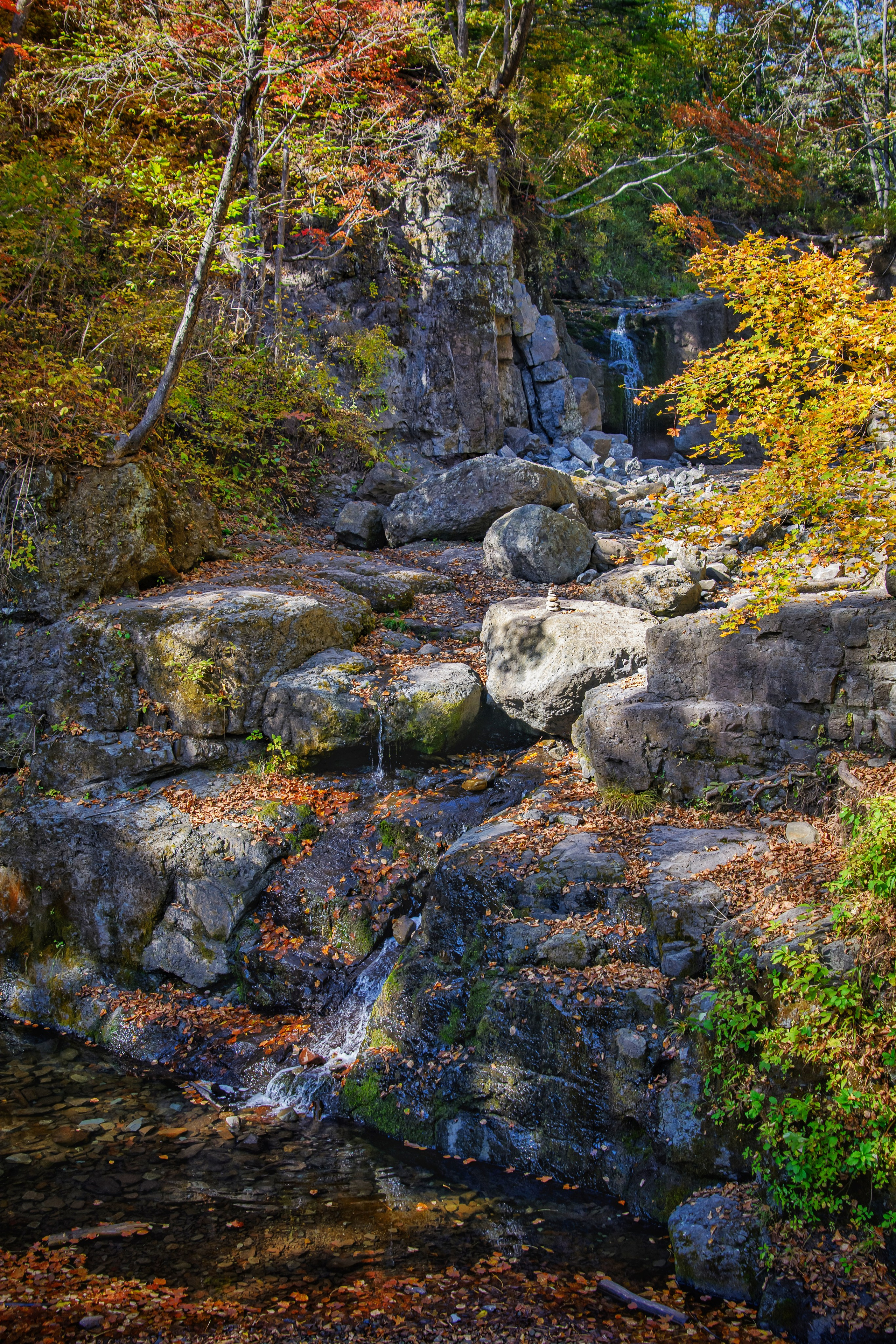 Пейзажи и дикая природа. Пейзажный и репортажный фотограф