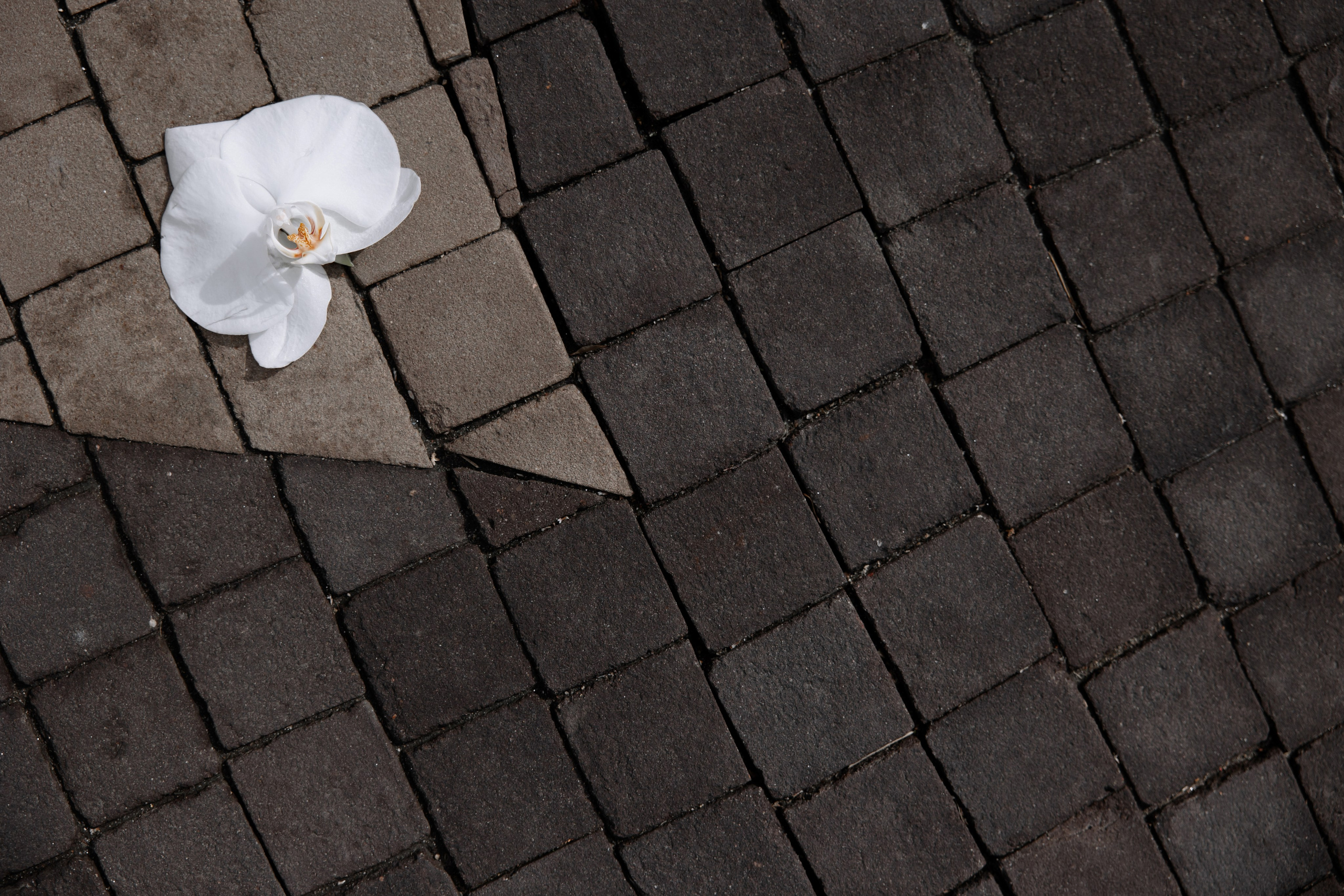 Ваня Точно. Свадебный фотограф в Москве и Балашихе