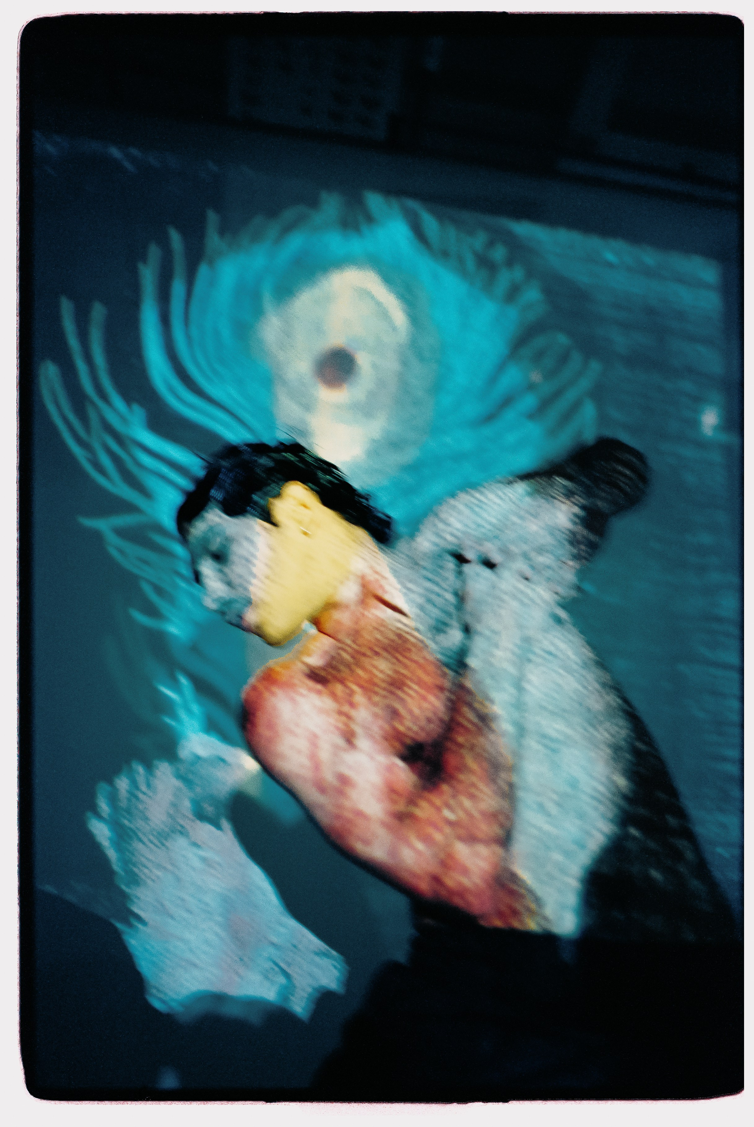 Артём. Polinanazar//Полина Назарова, фотохудожник