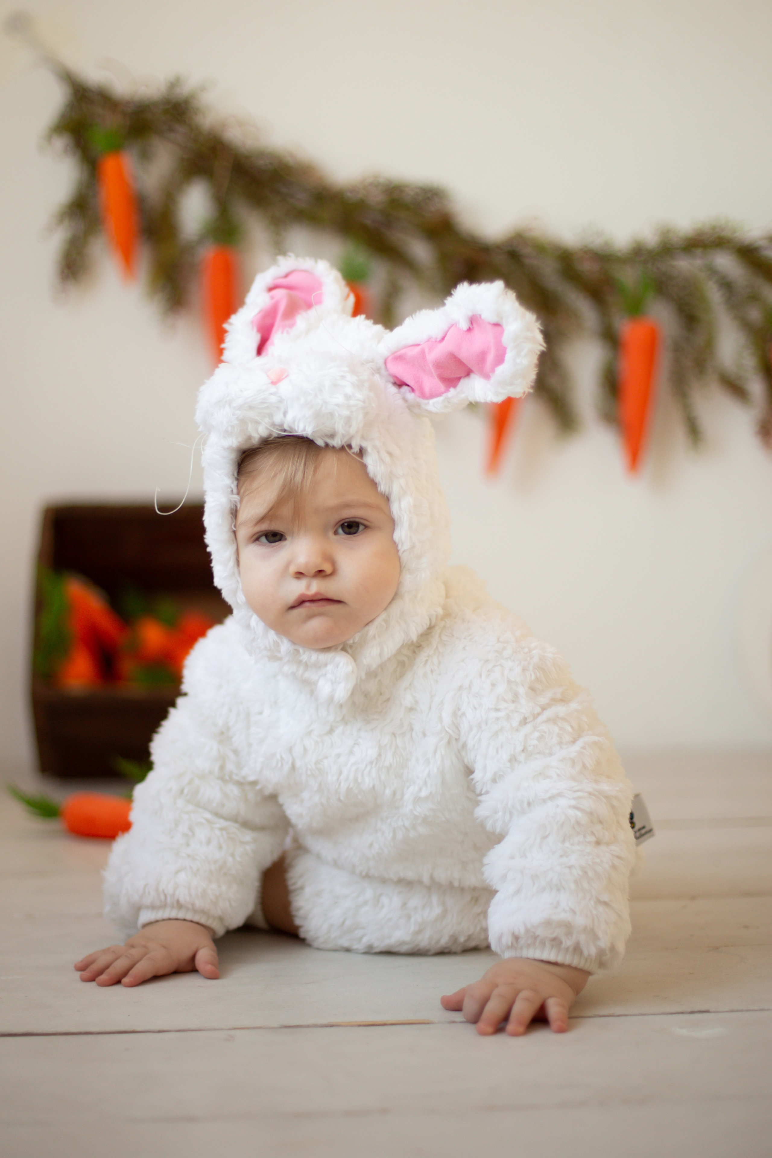 Годовасие. Фотограф Мытищи-Москва Мария Апреликова