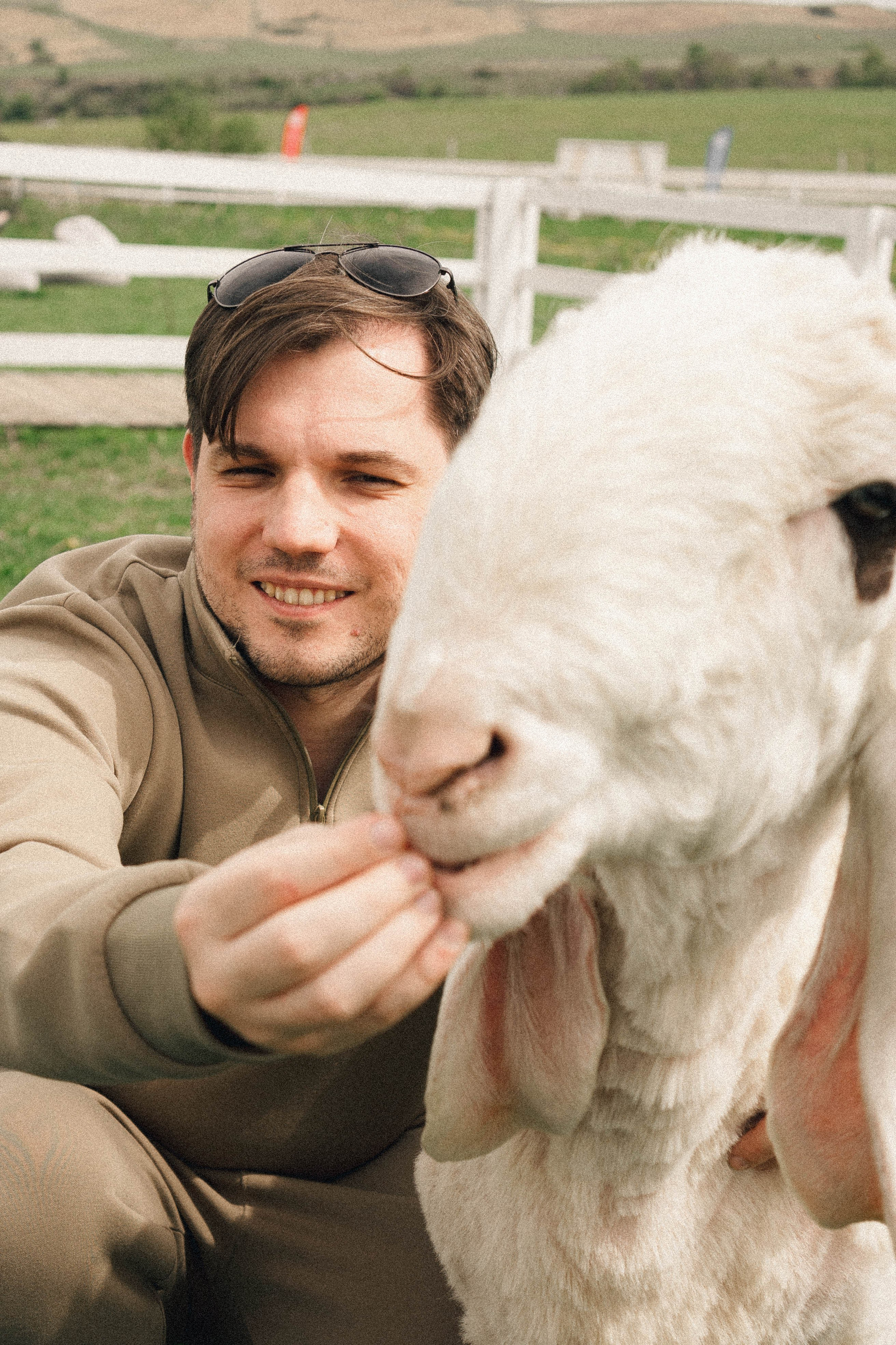 Ферма Альпак. Профессиональный фотограф, Санкт-Петербург — Виктория Богомолова