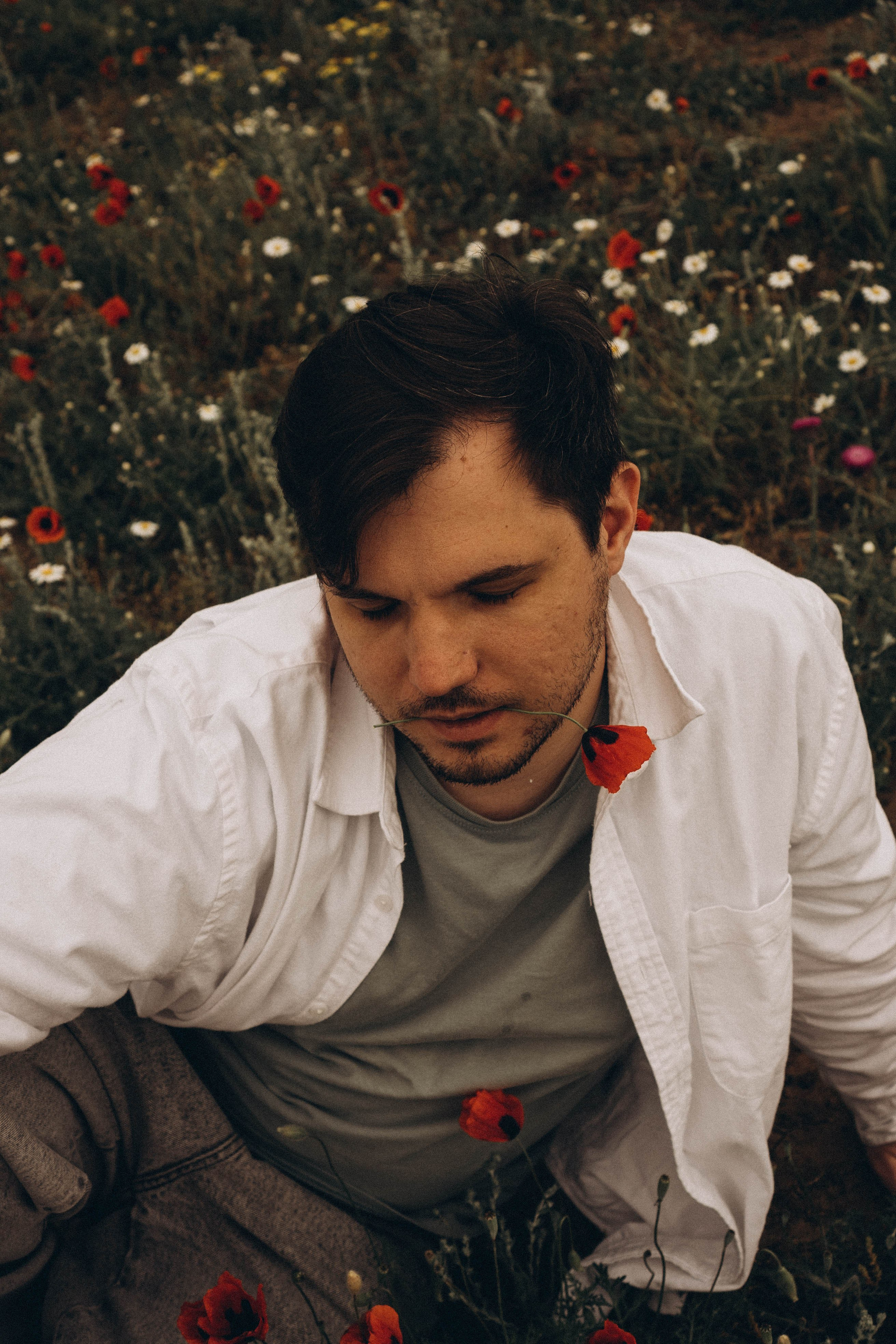 Маки. Профессиональный фотограф, Санкт-Петербург — Виктория Богомолова