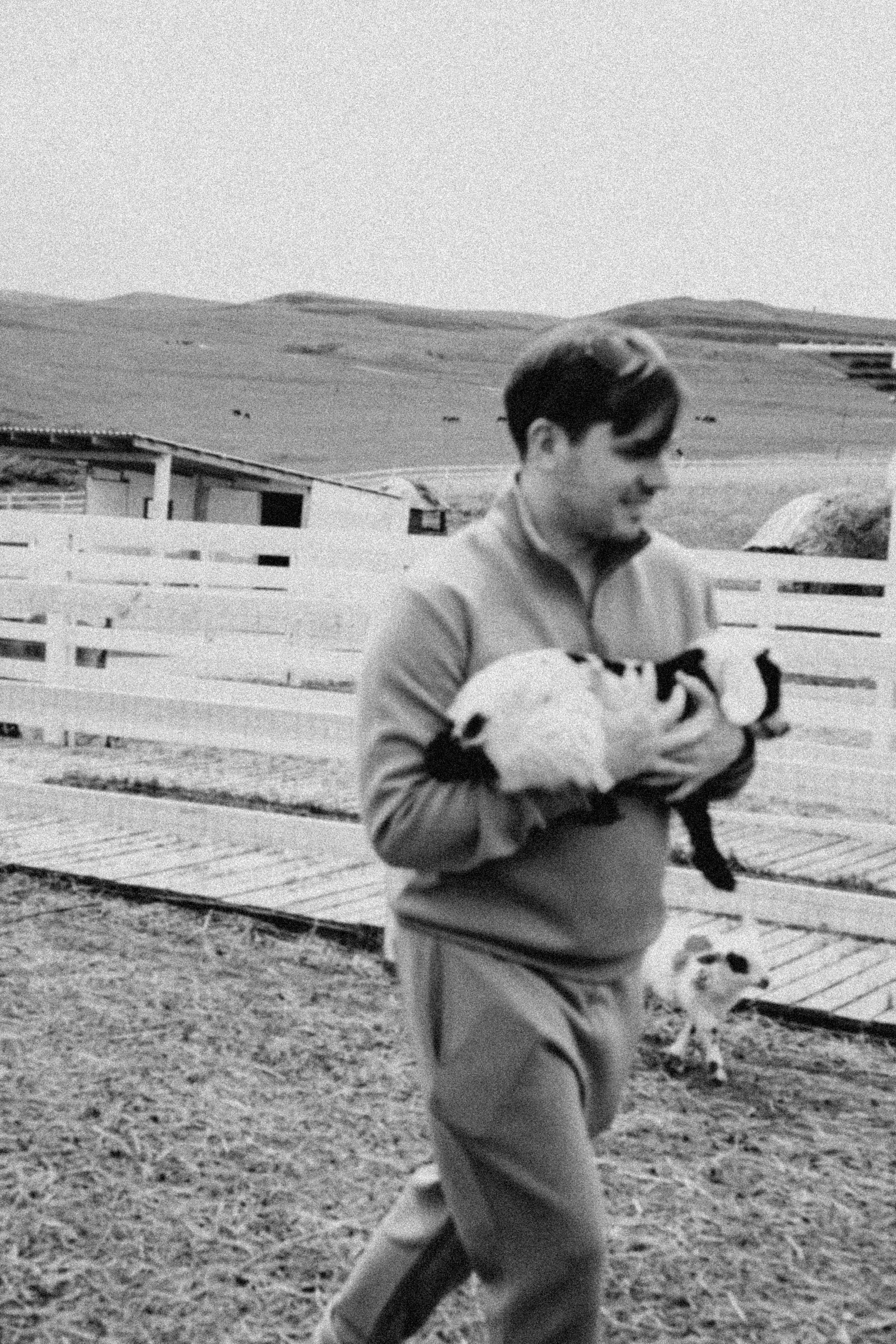 Ферма Альпак. Профессиональный фотограф, Санкт-Петербург — Виктория Богомолова