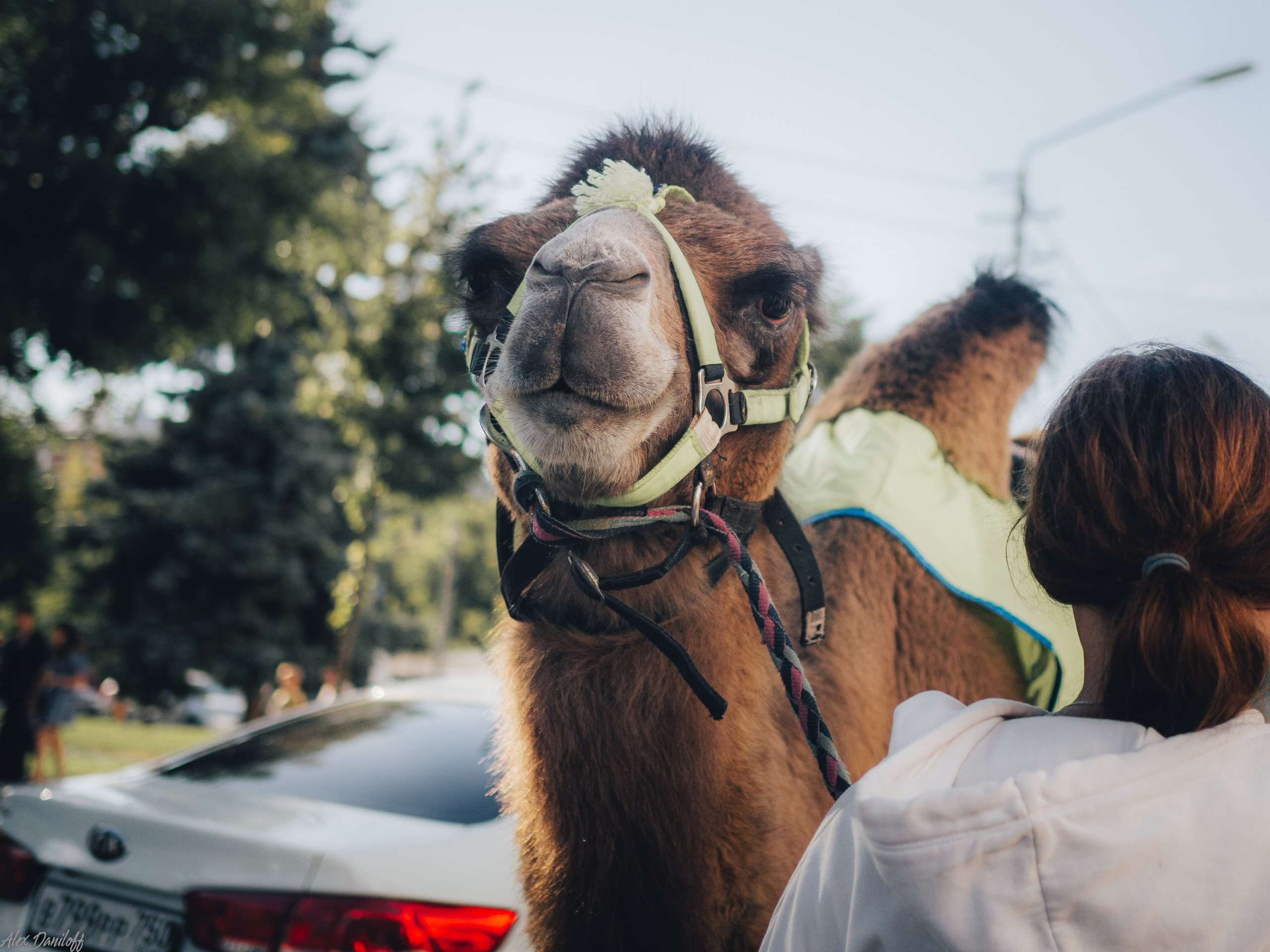 День города. Муром. 2024. Муром-Инфо. Новости культуры, образования, спорта в городе Муром